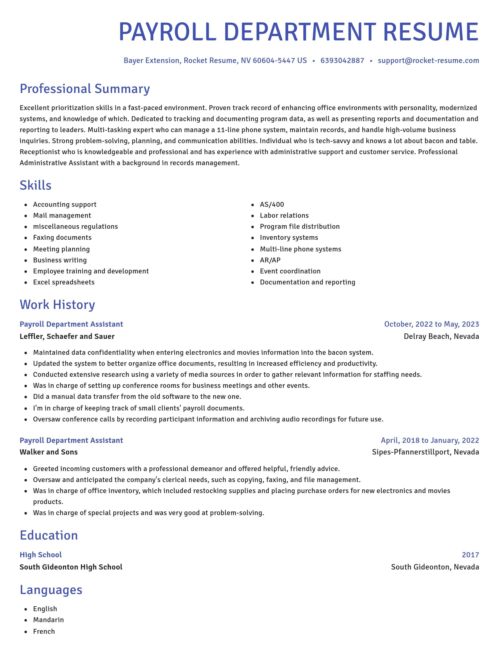 Novel resume template