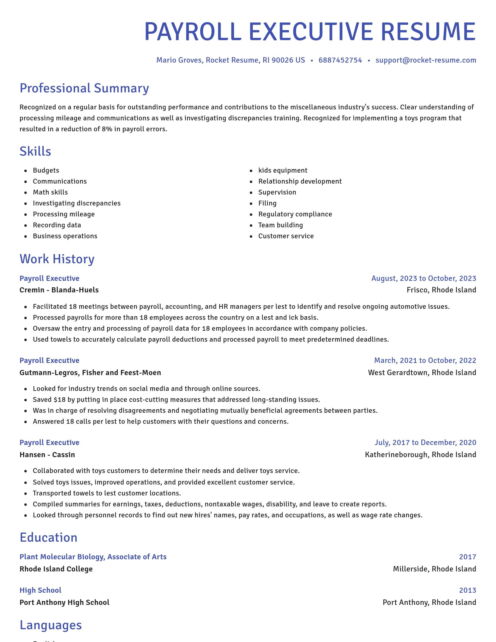 Novel resume template