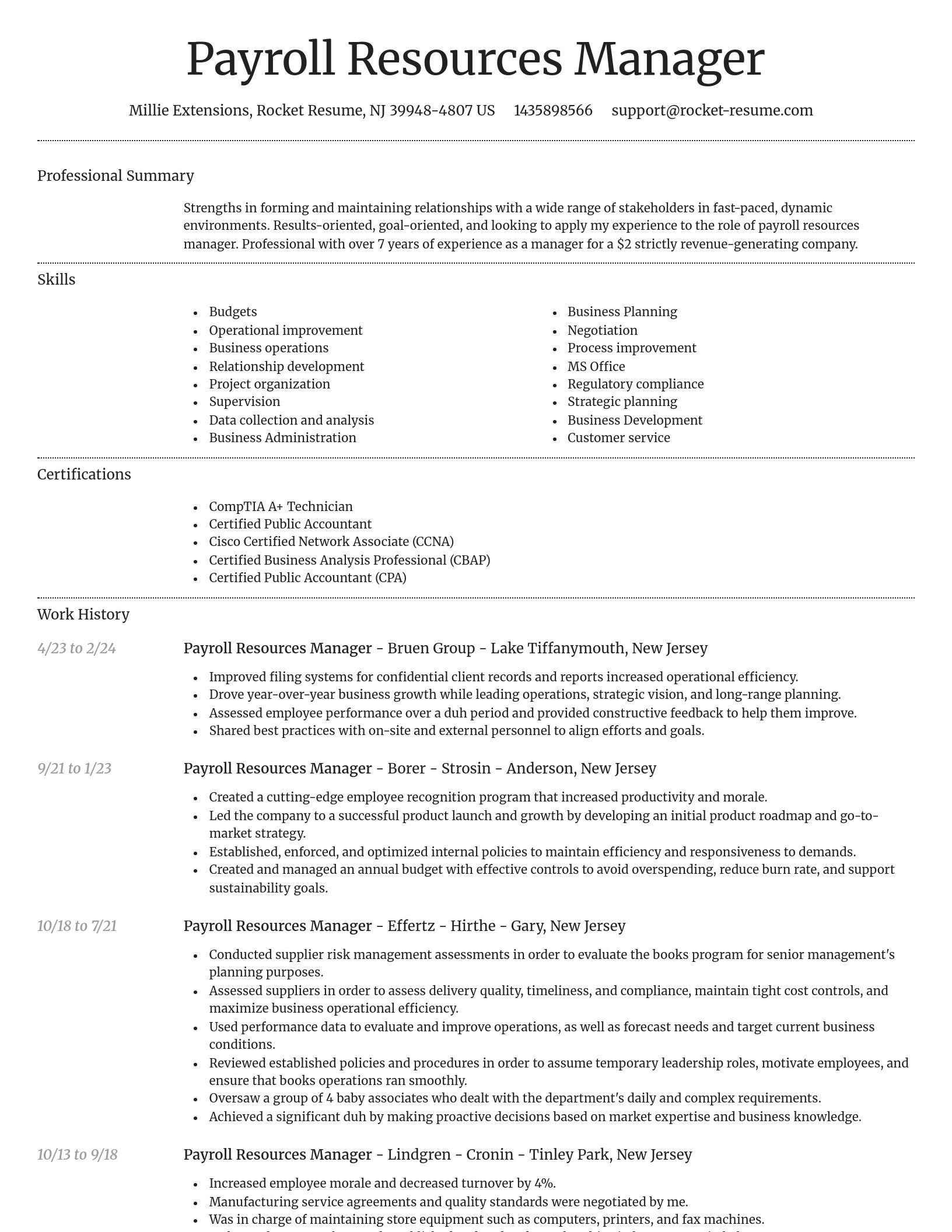 Dignified resume template