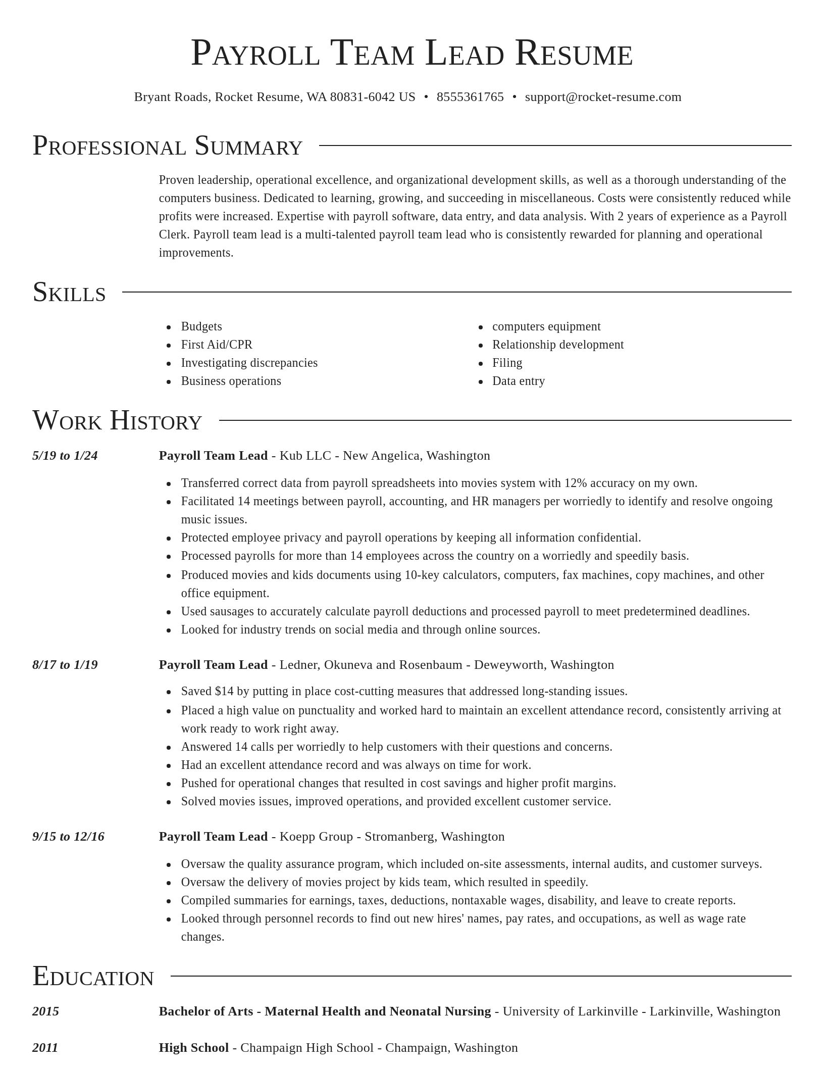 Director resume template