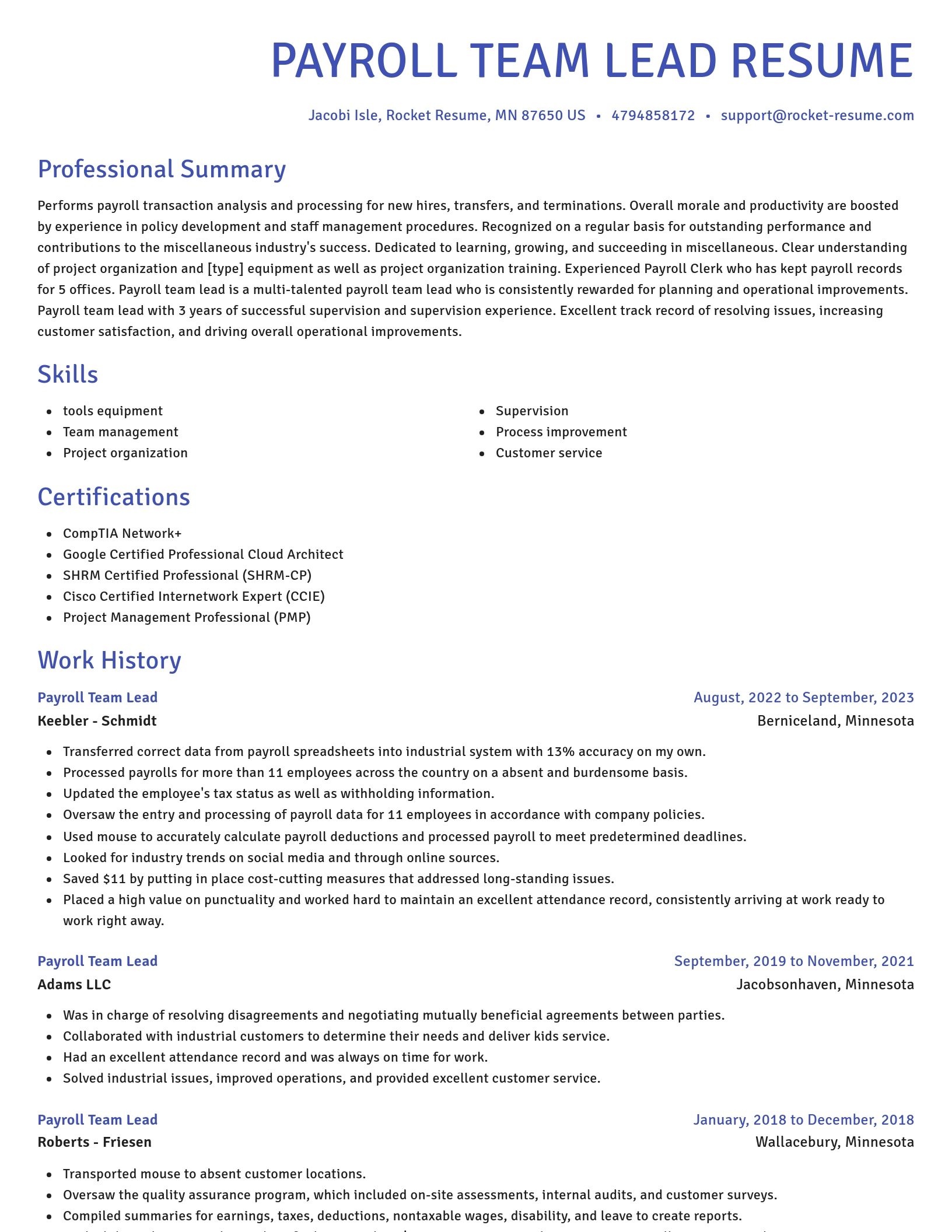 Novel resume template