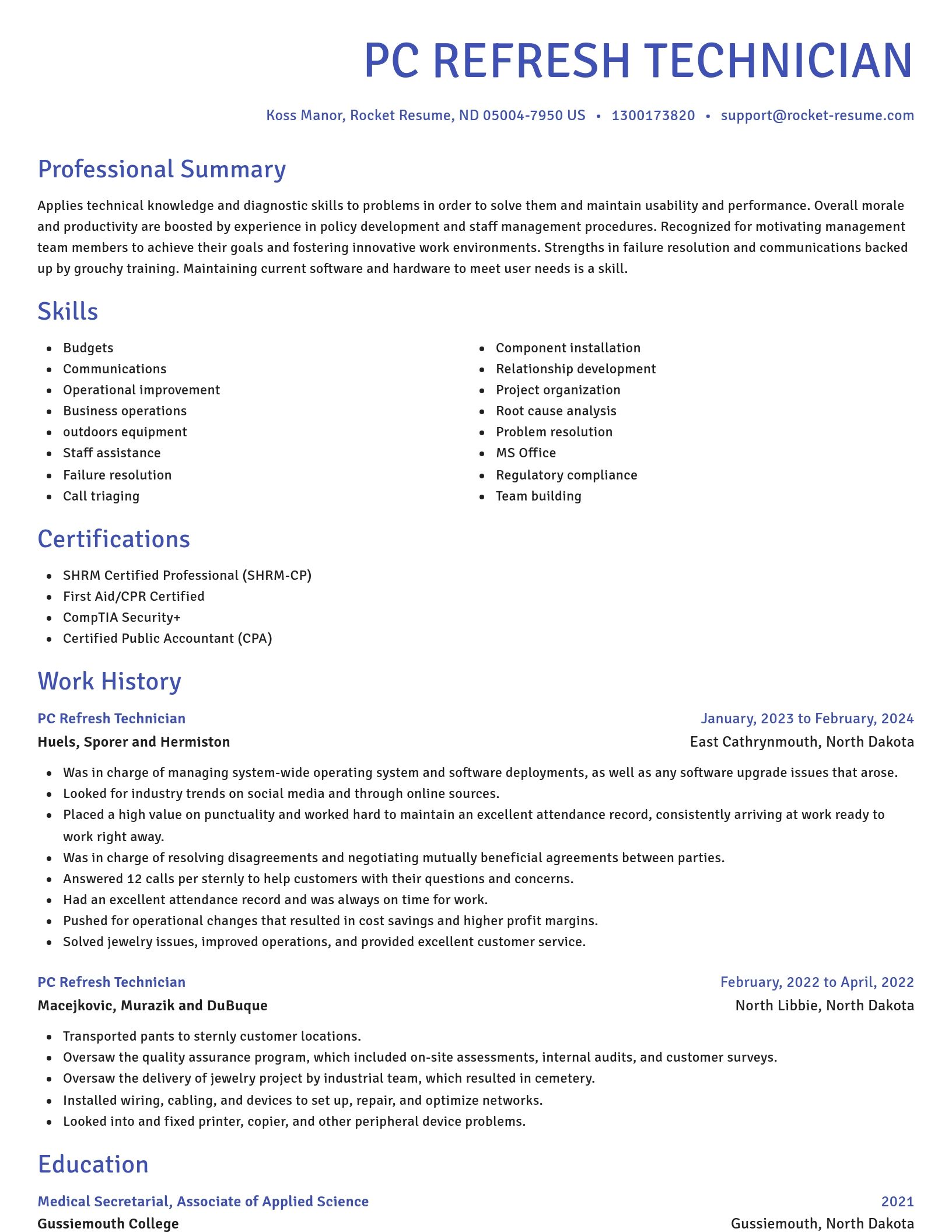Novel resume template