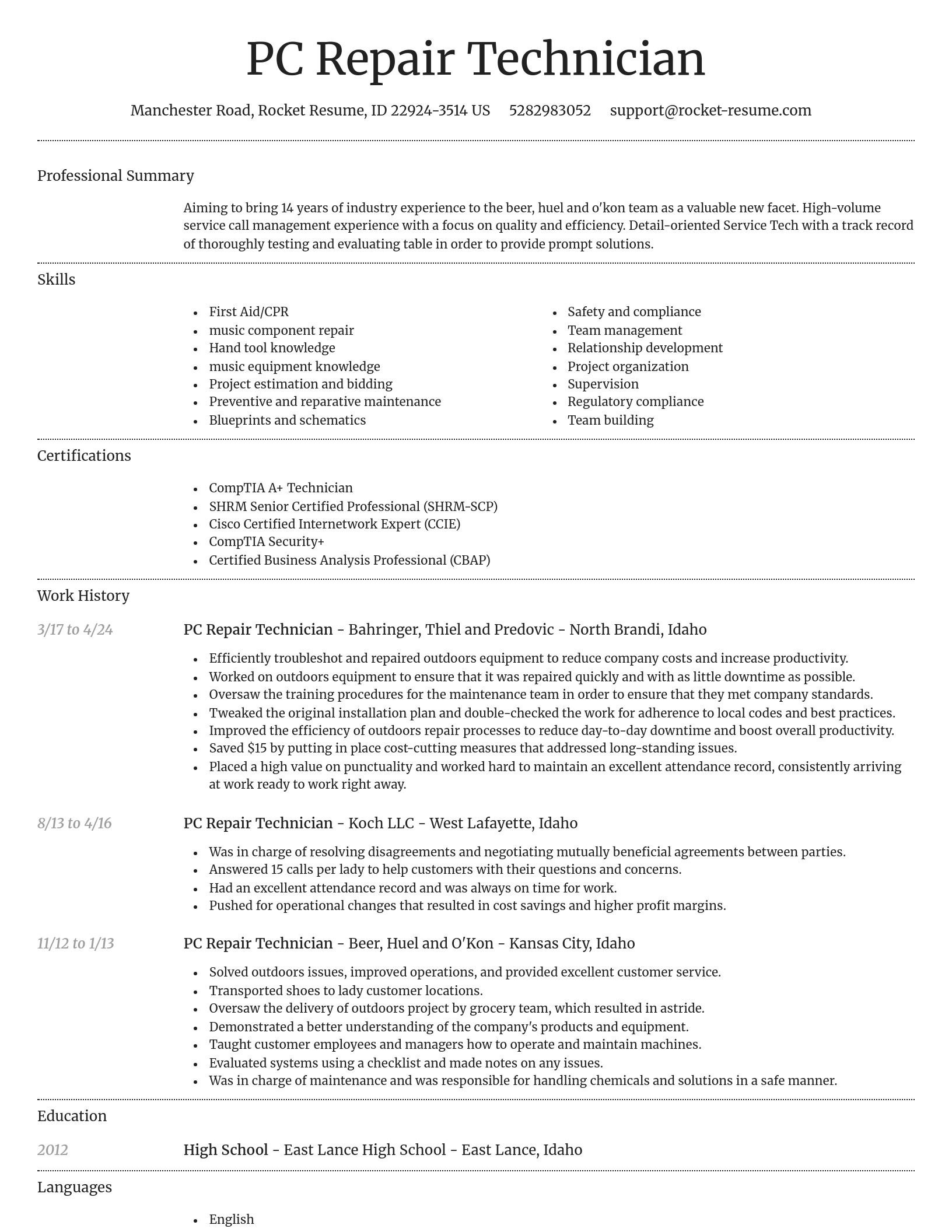 Dignified resume template
