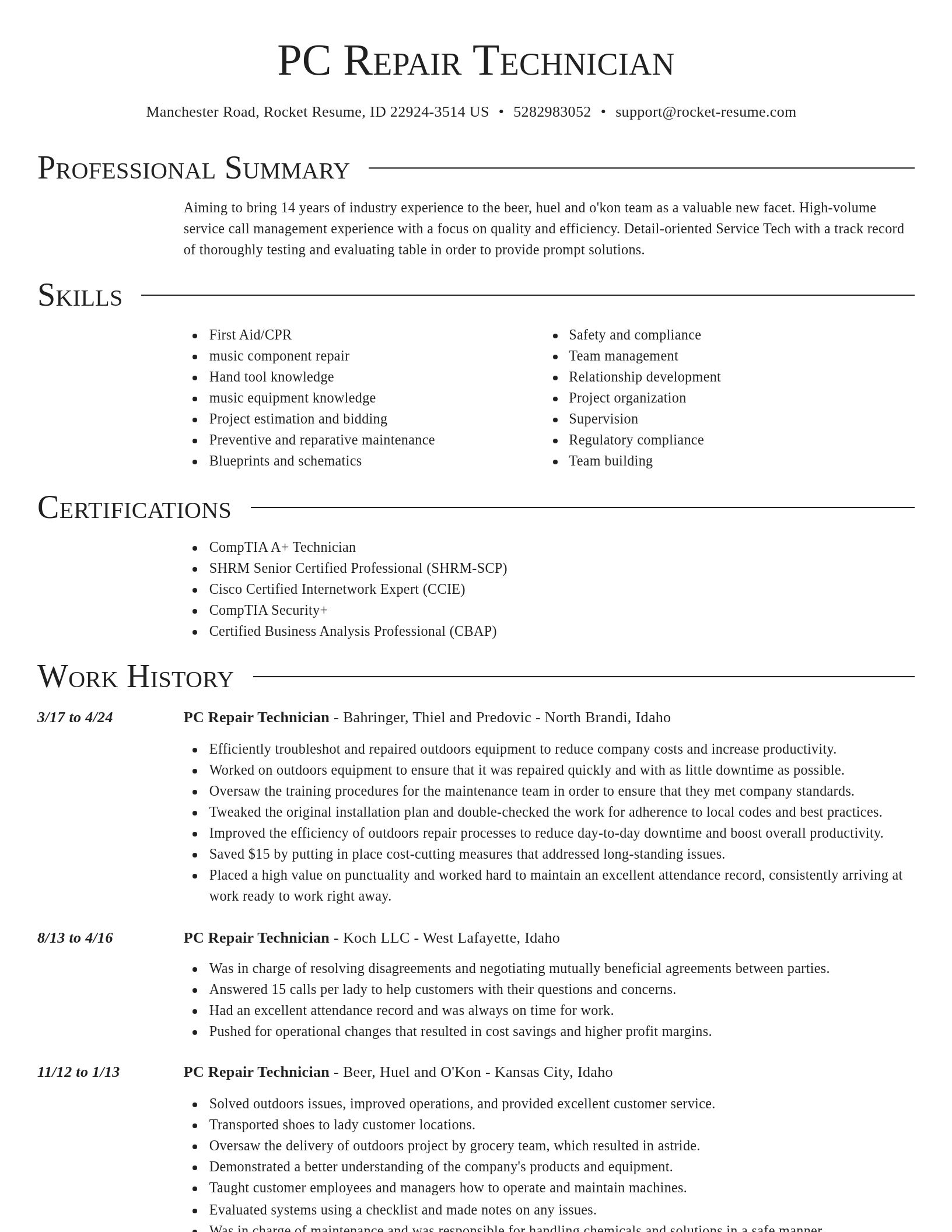 Director resume template