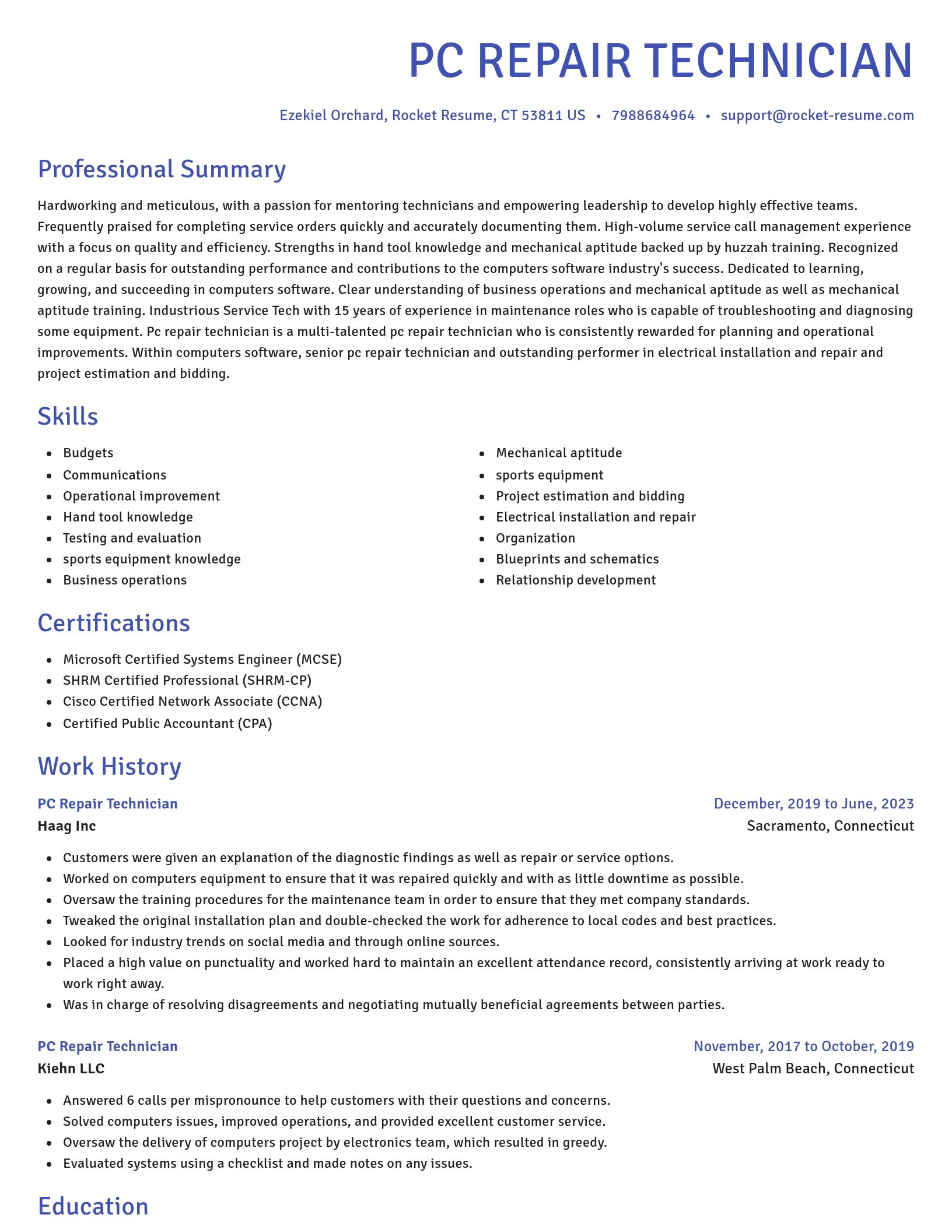 Novel resume template