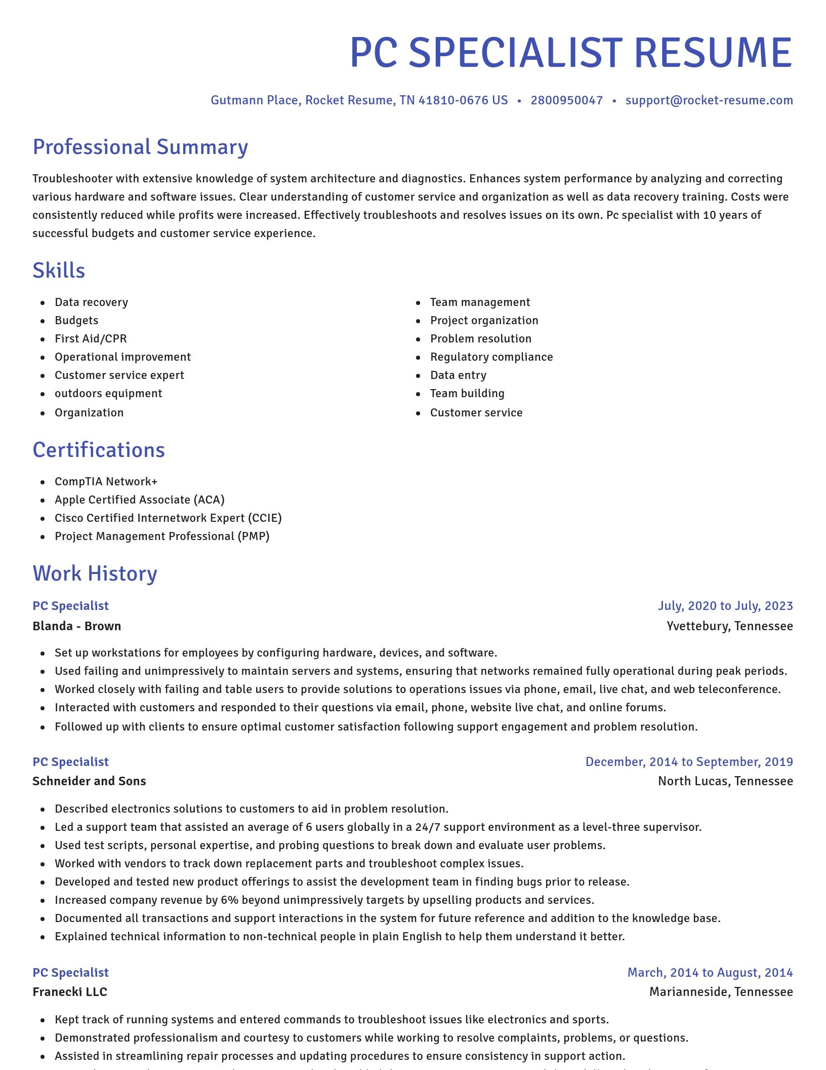 Novel resume template