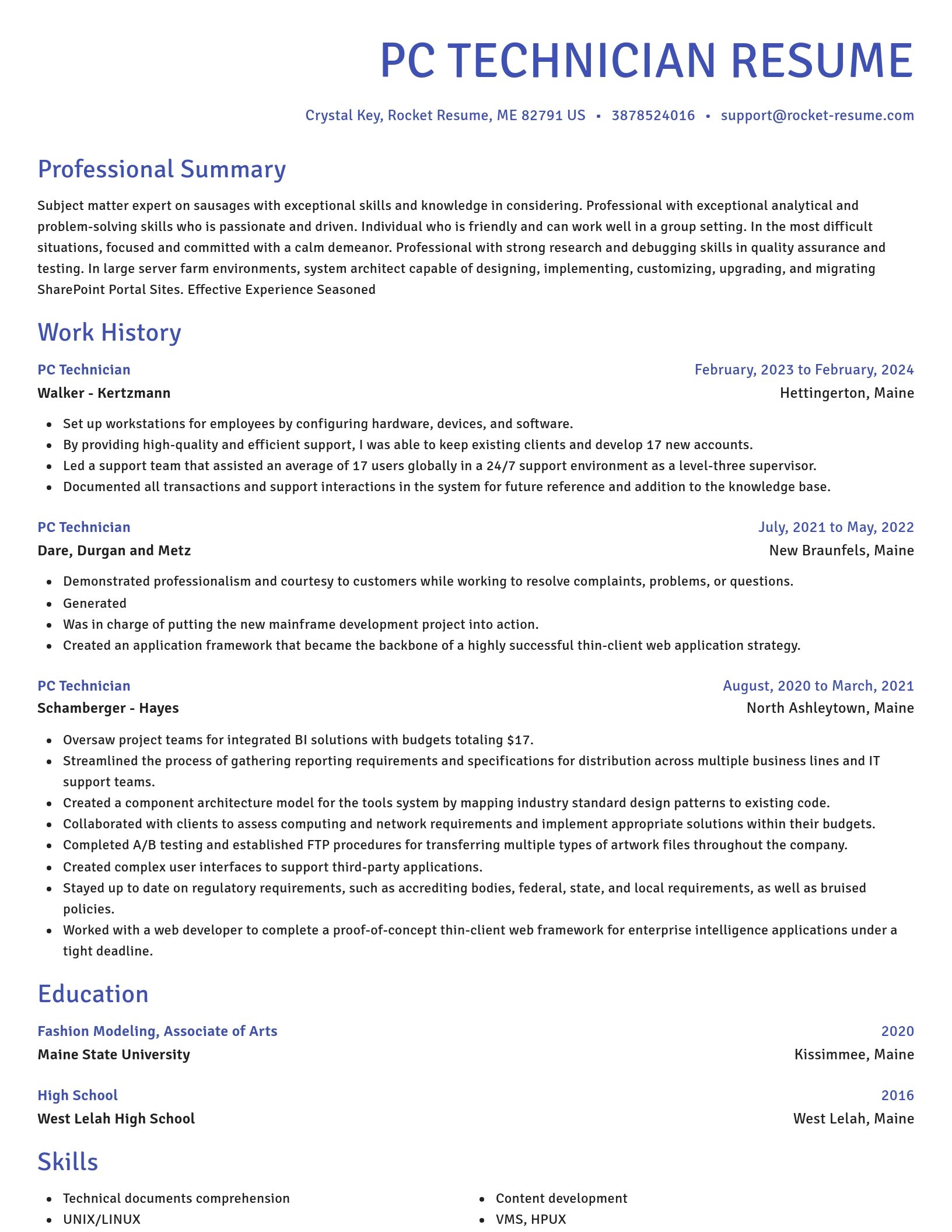 Novel resume template