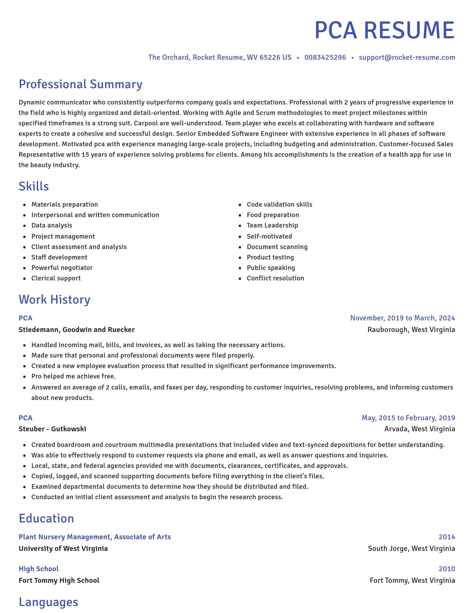 Novel resume template