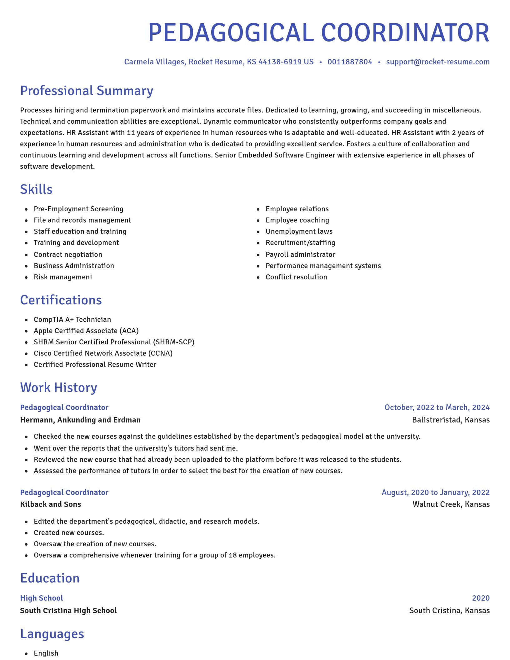 Novel resume template