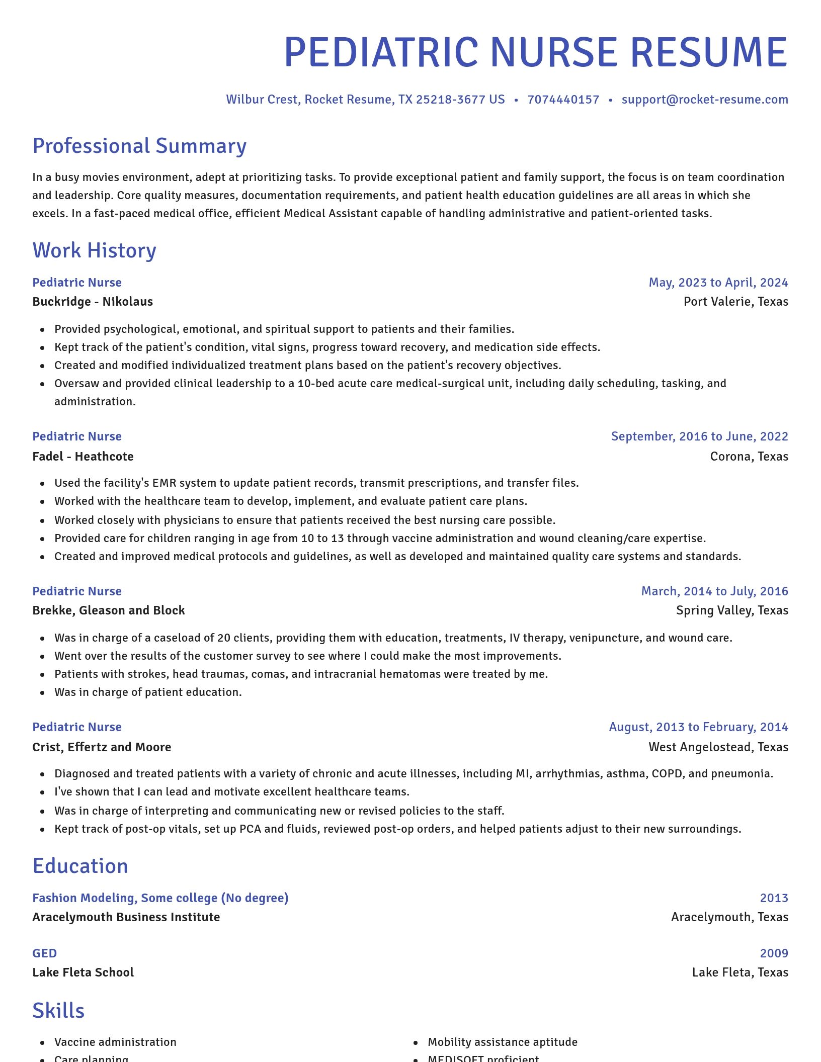 Novel resume template