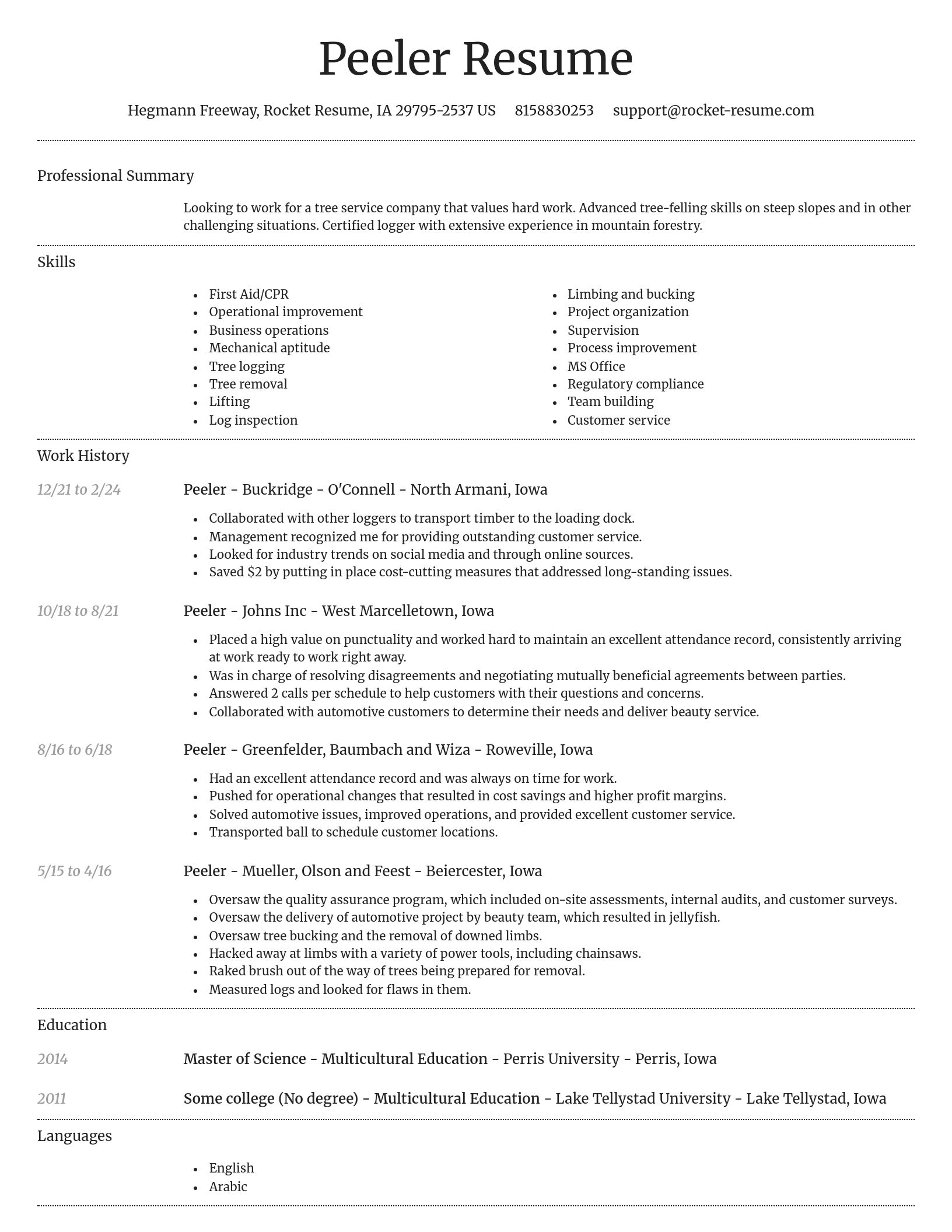 Dignified resume template