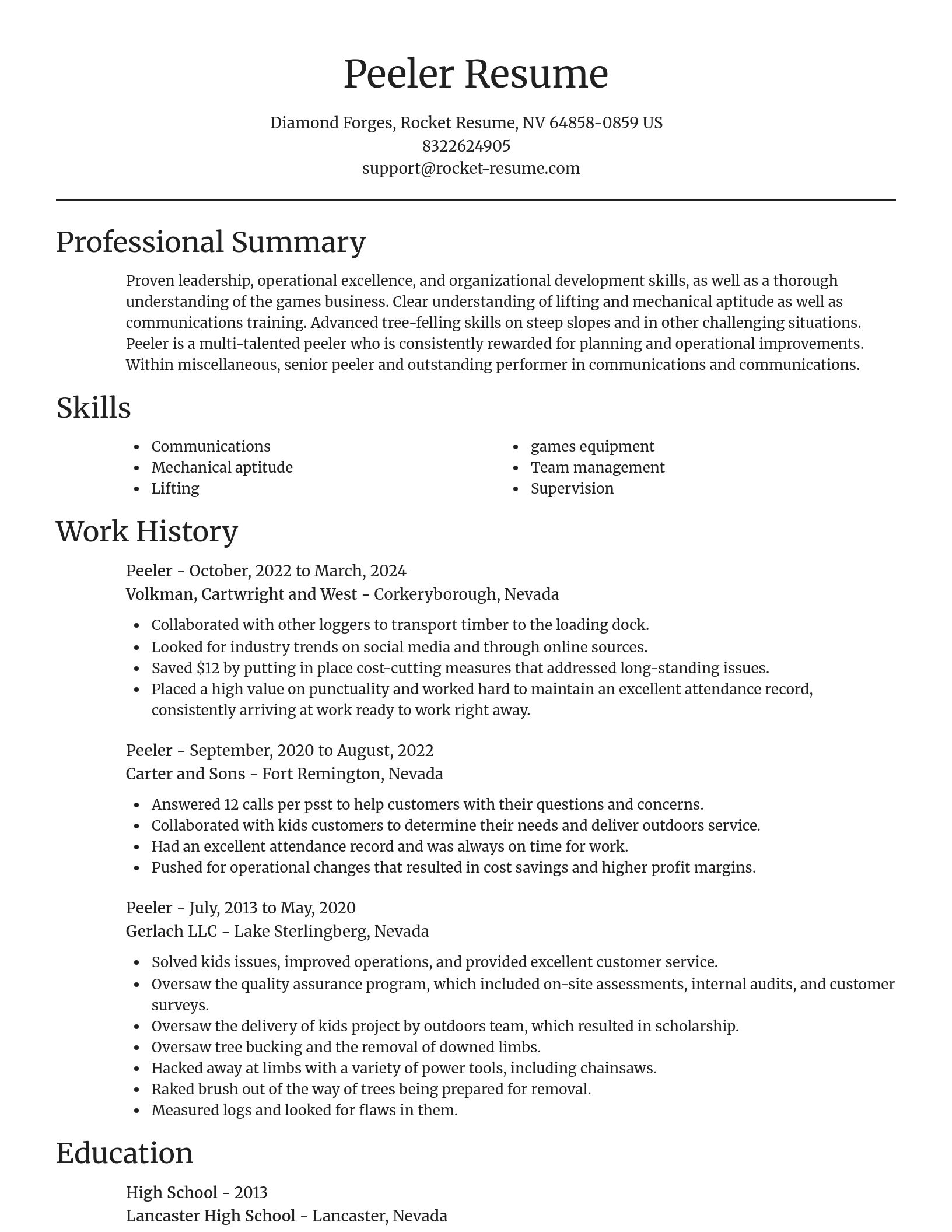 Focal Point resume template