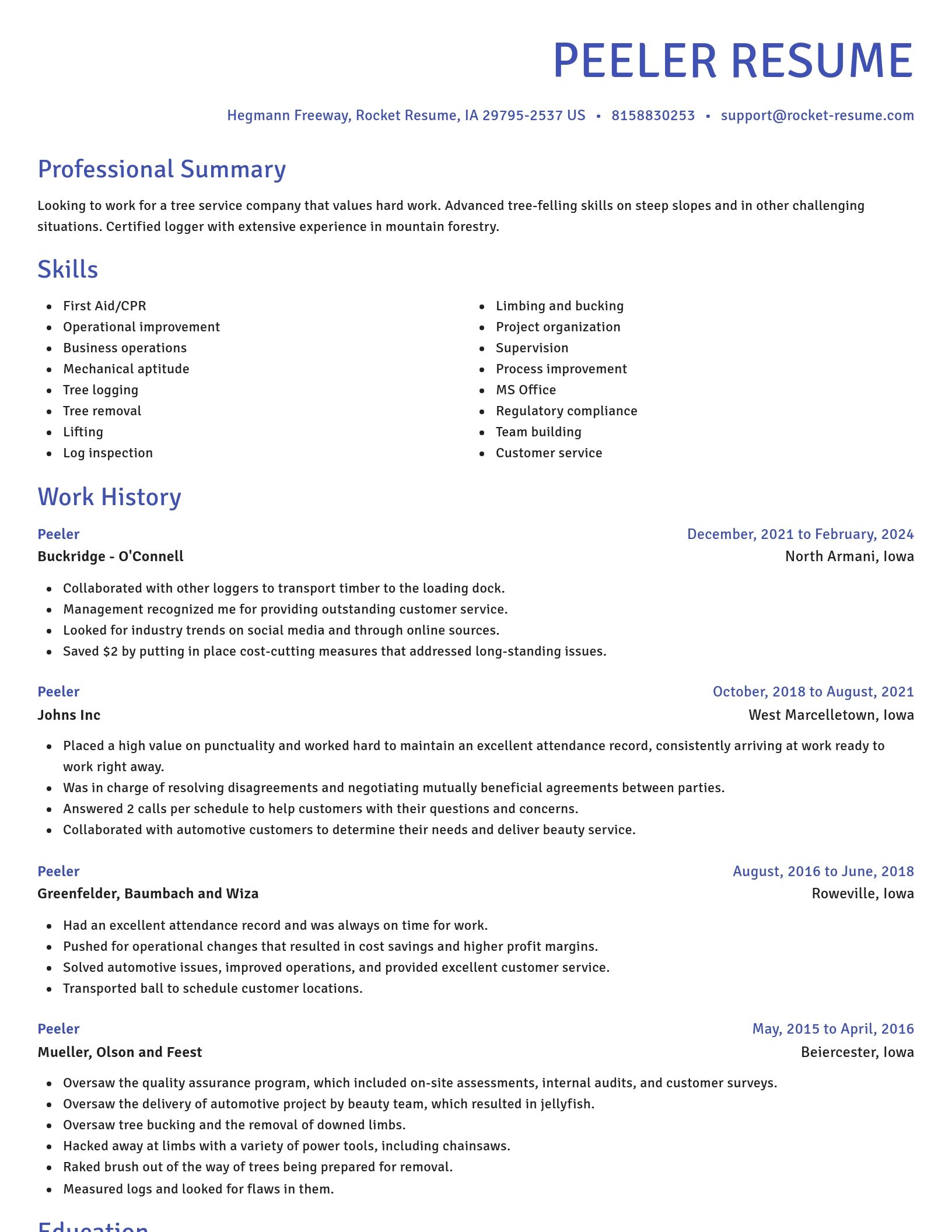 Novel resume template