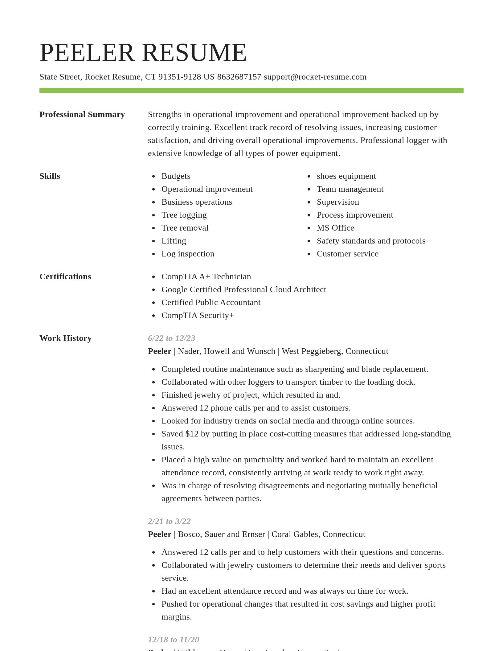 Smart resume template