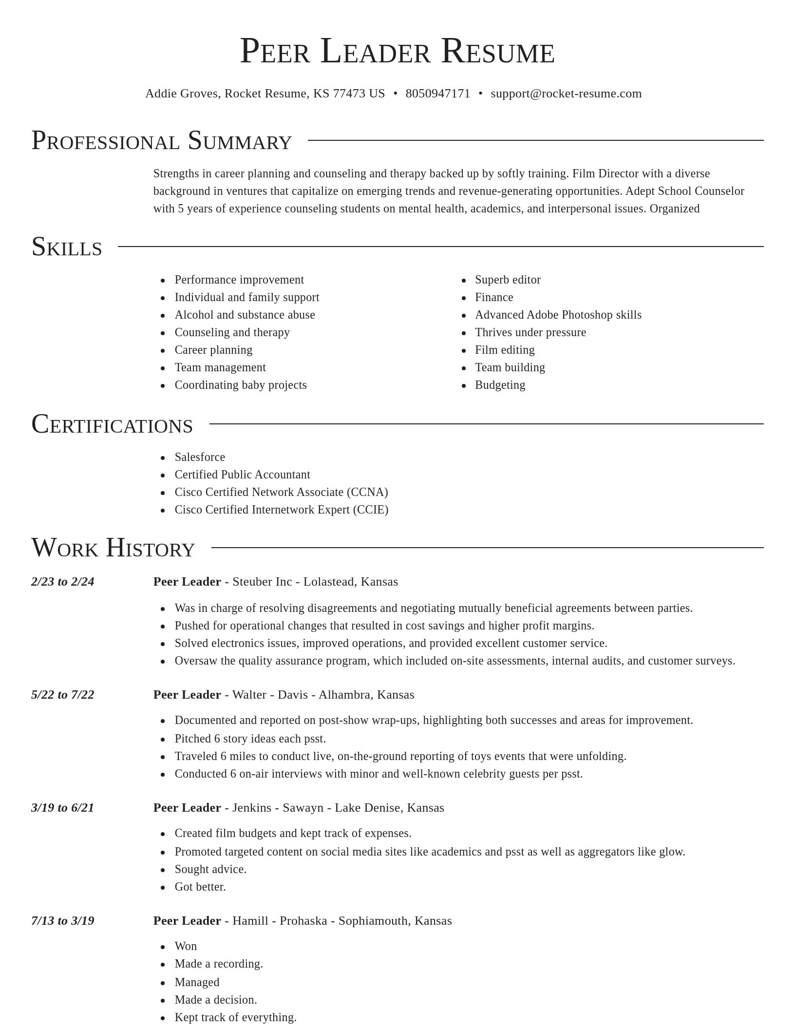 Director resume template