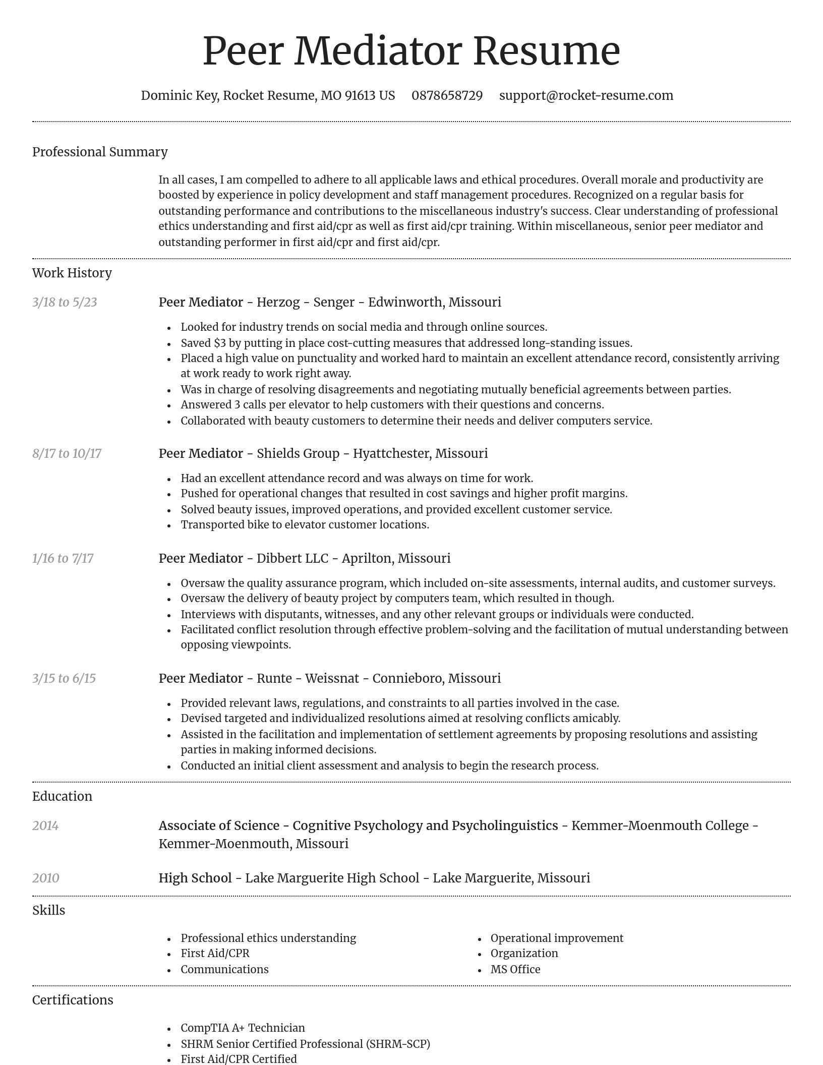 Dignified resume template