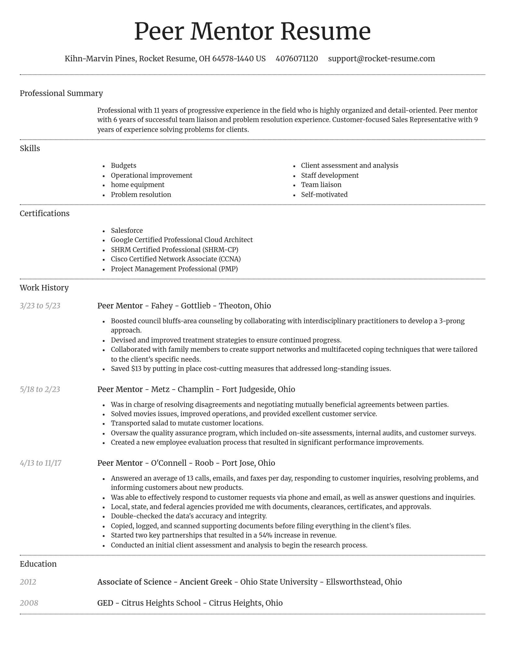 Dignified resume template