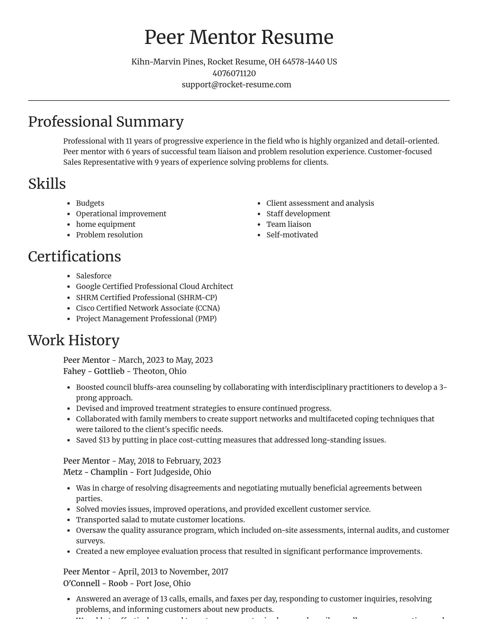 Focal Point resume template