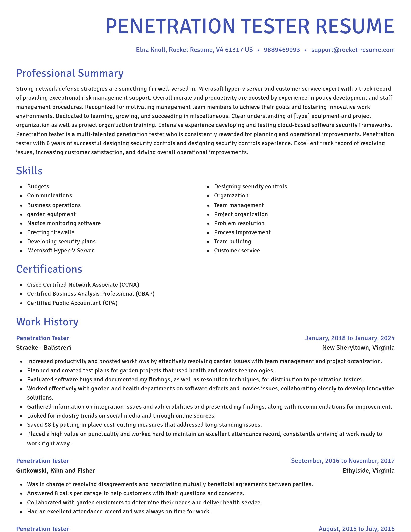 Novel resume template