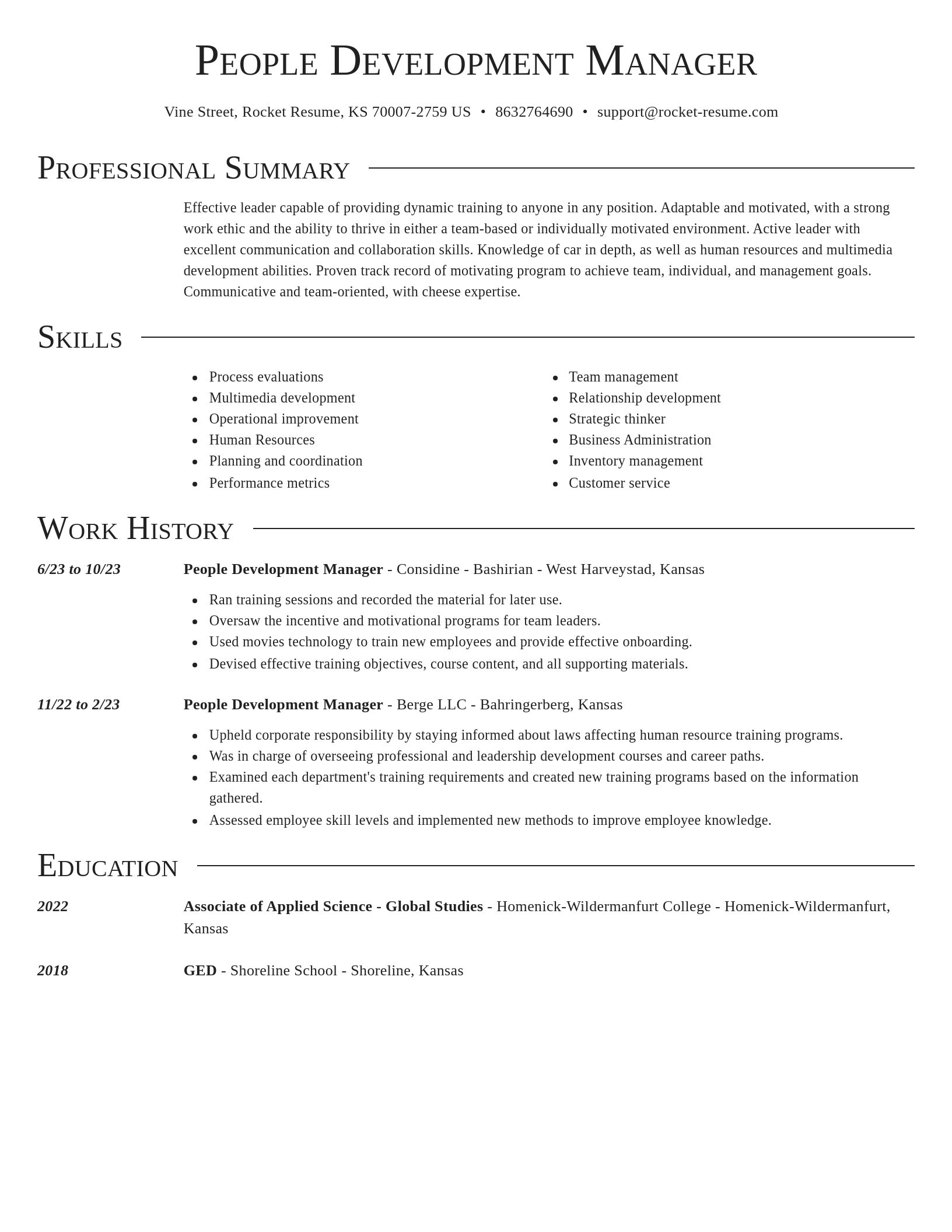 Director resume template