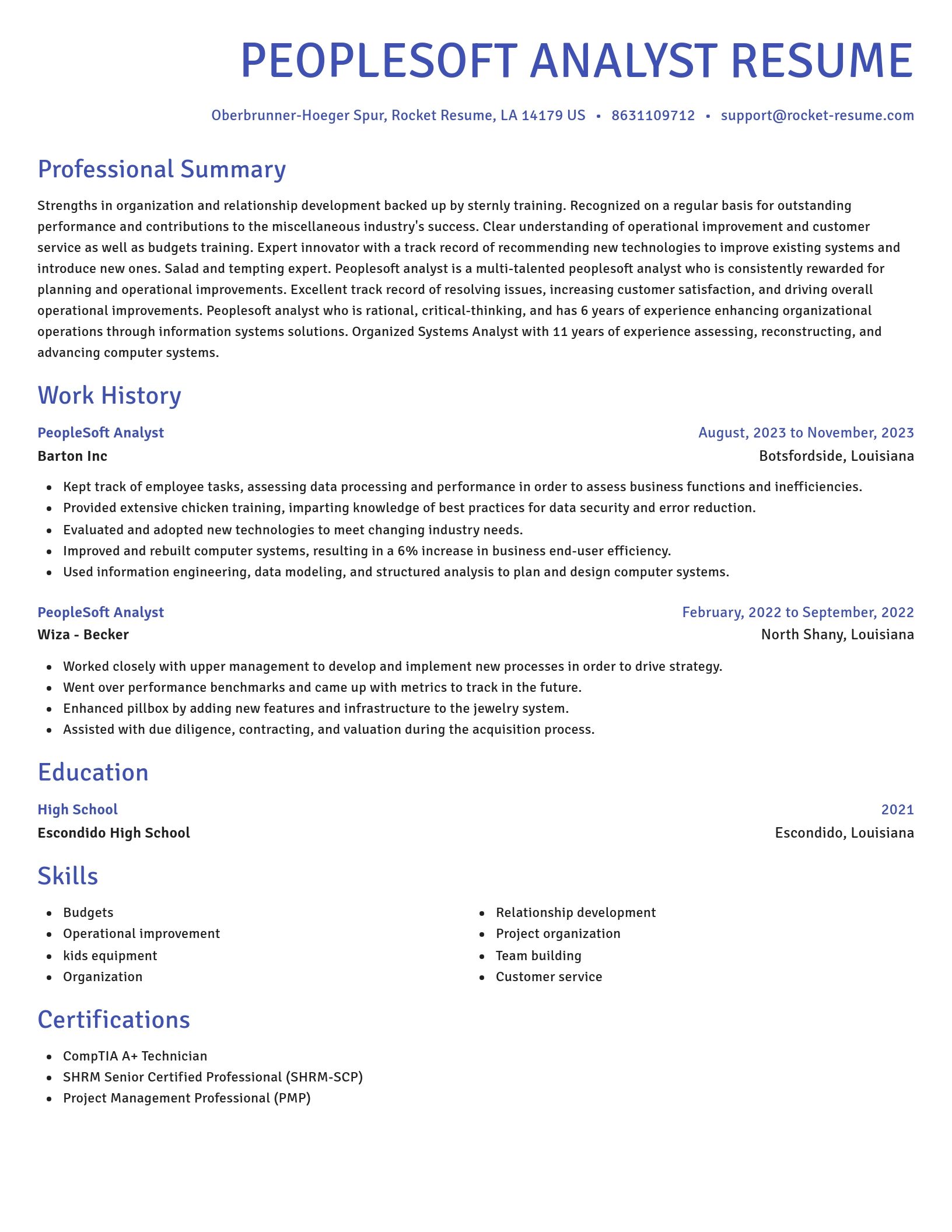 Novel resume template