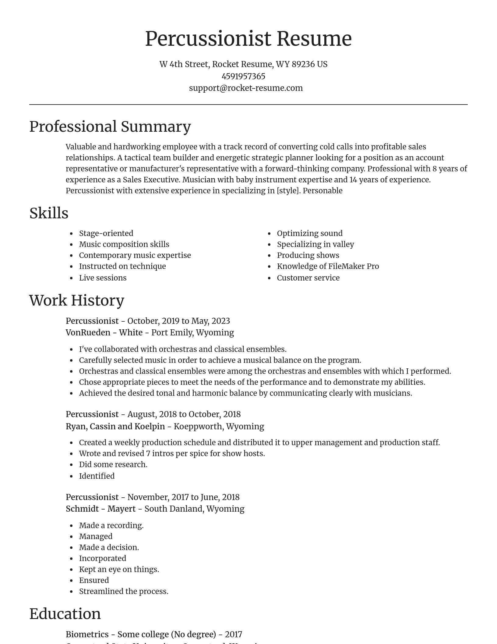 Focal Point resume template
