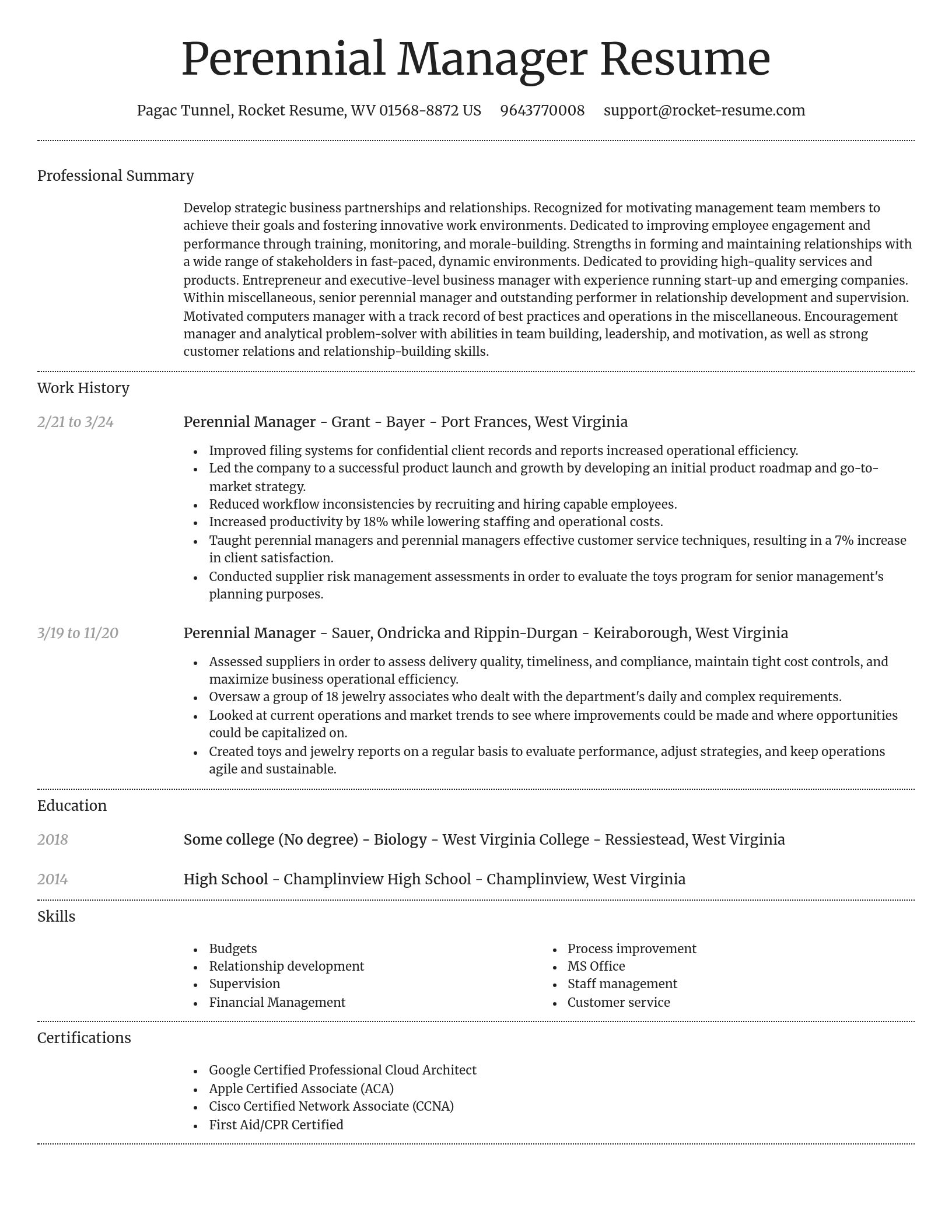 Dignified resume template