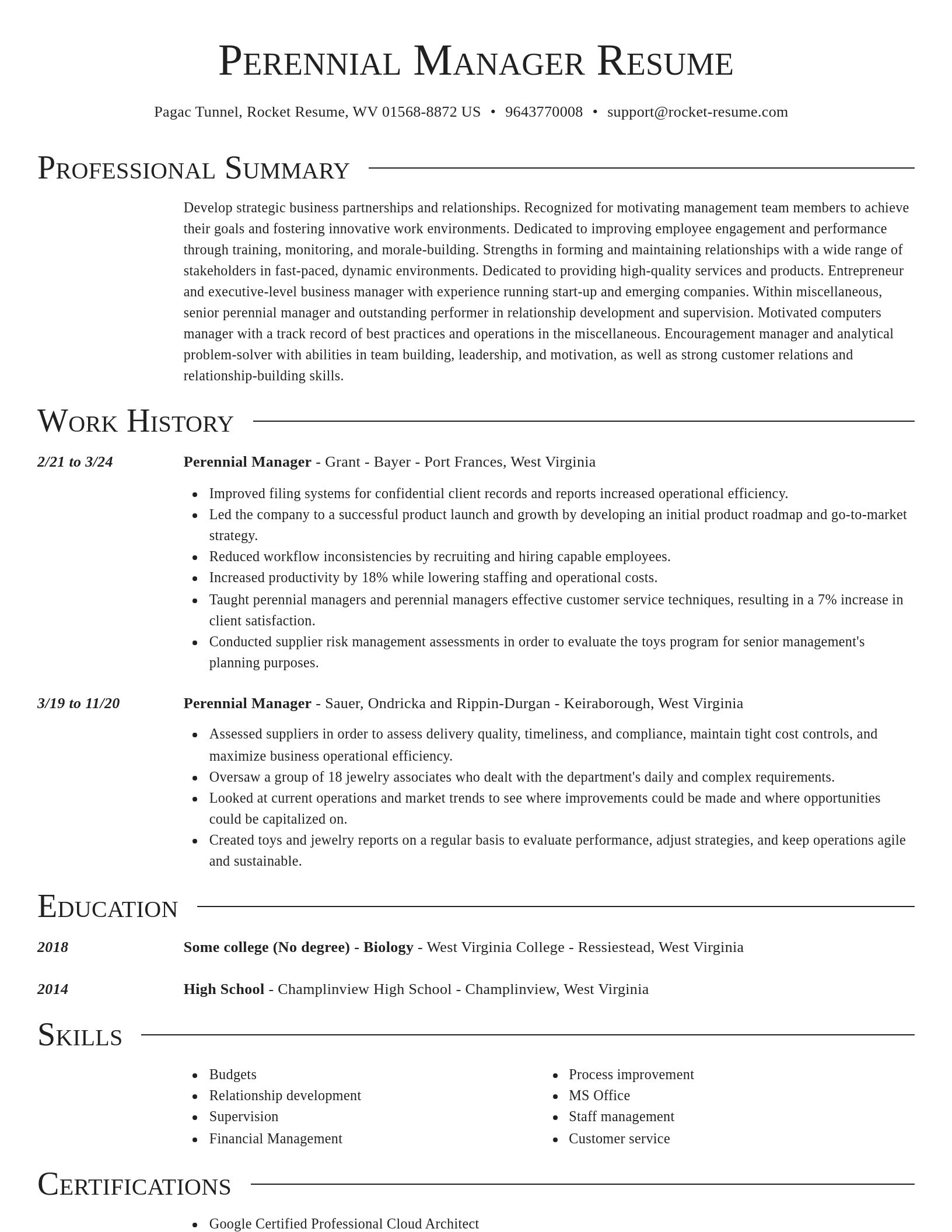 Director resume template