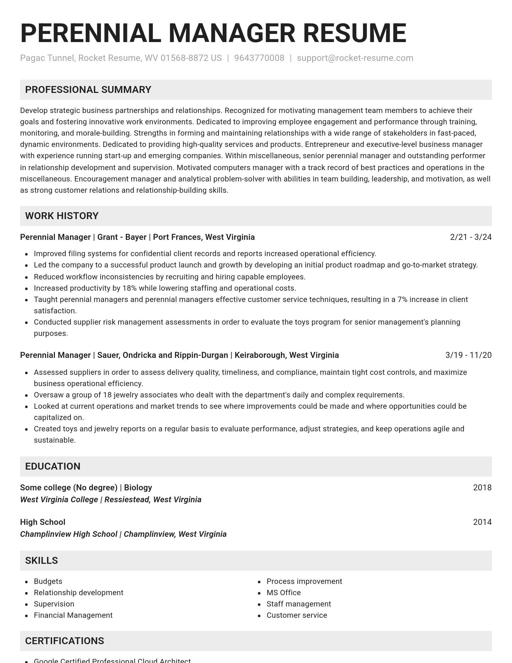 Genius resume template