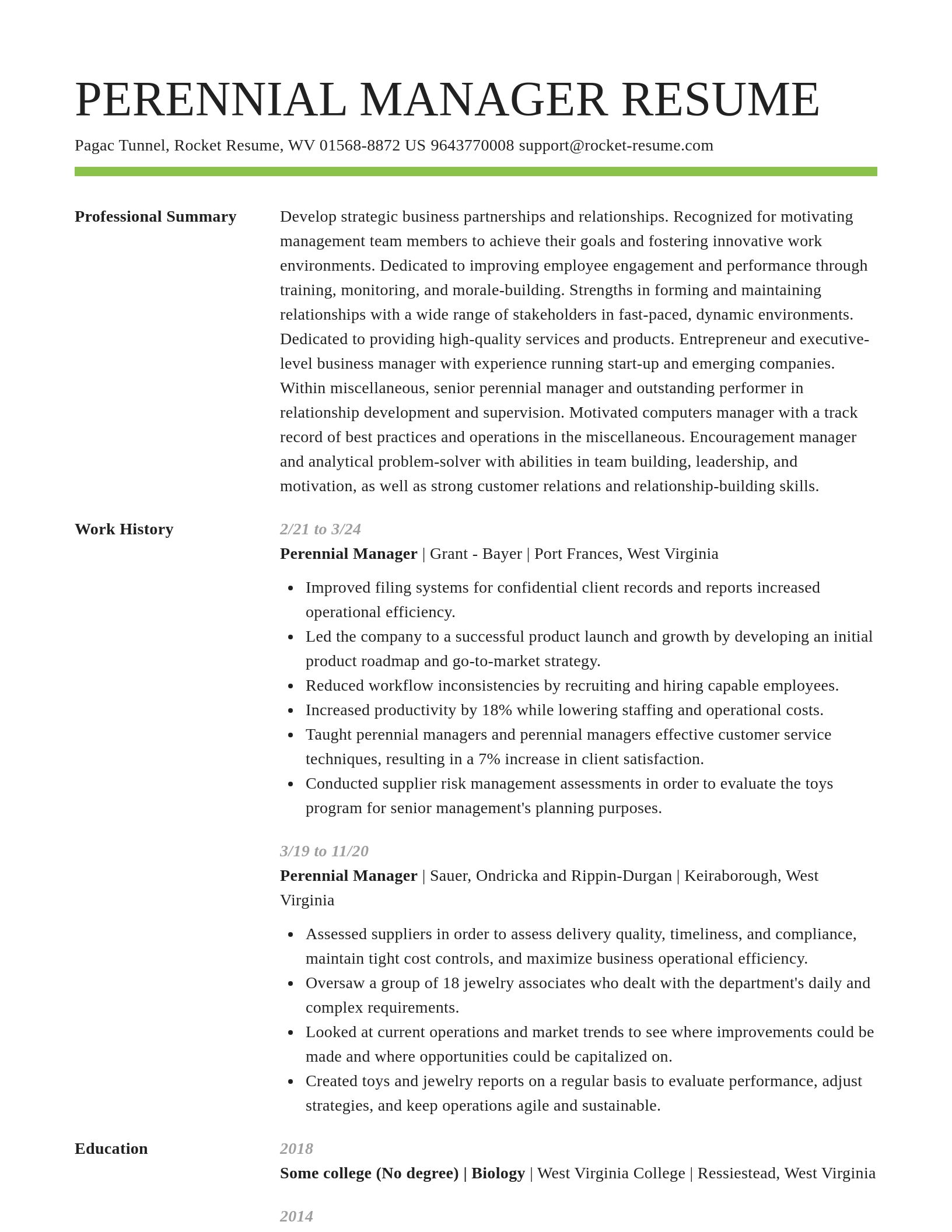 Smart resume template