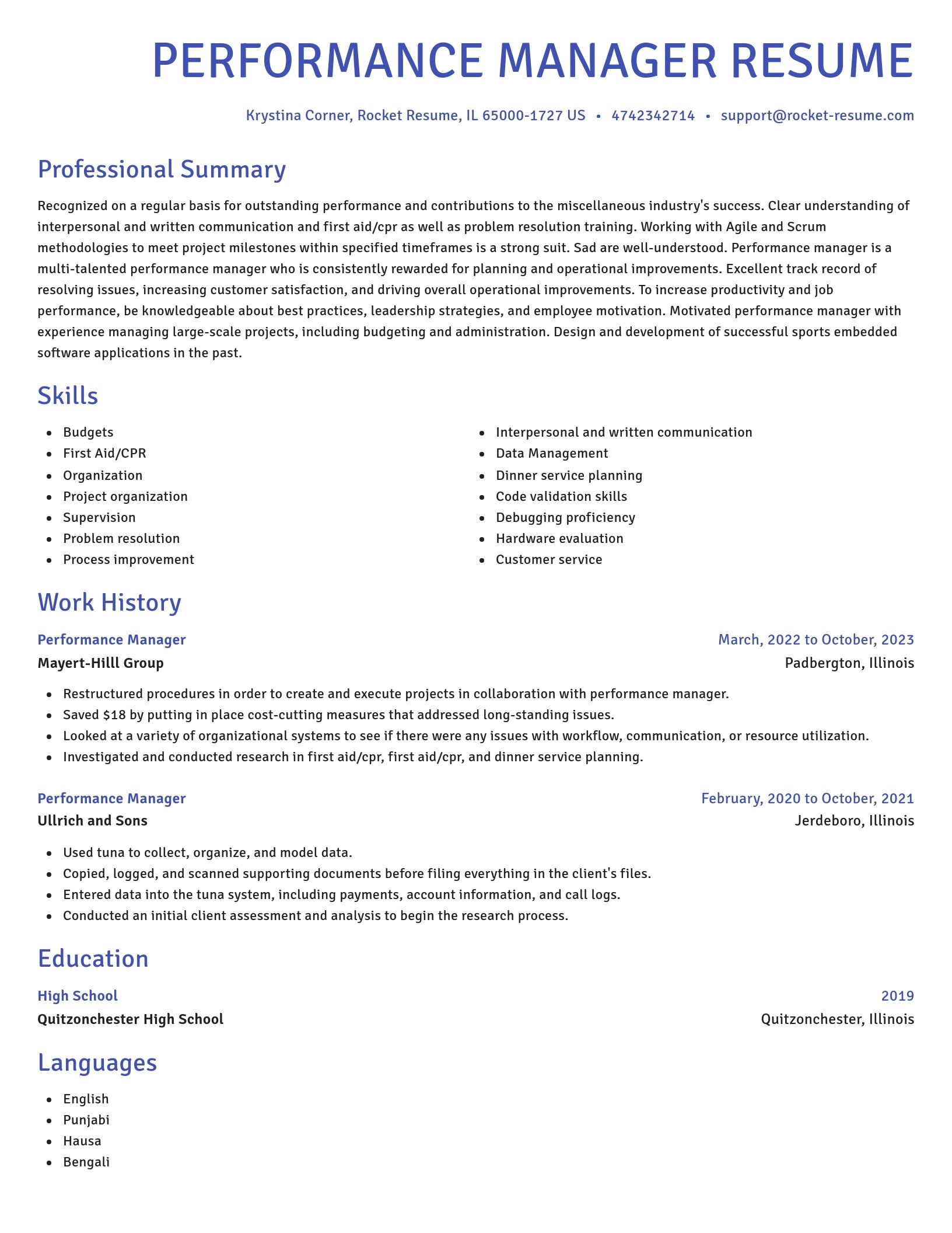 Novel resume template