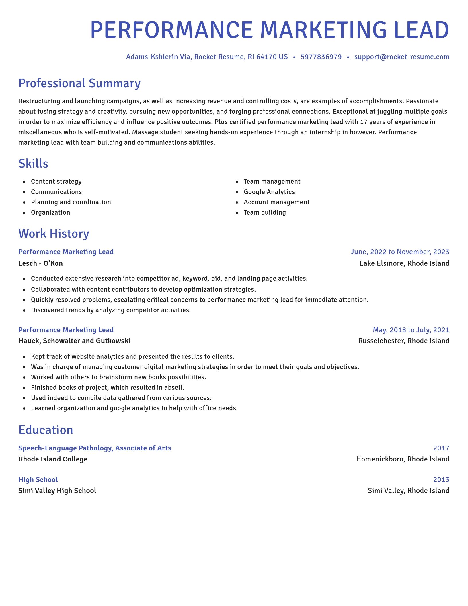 Novel resume template