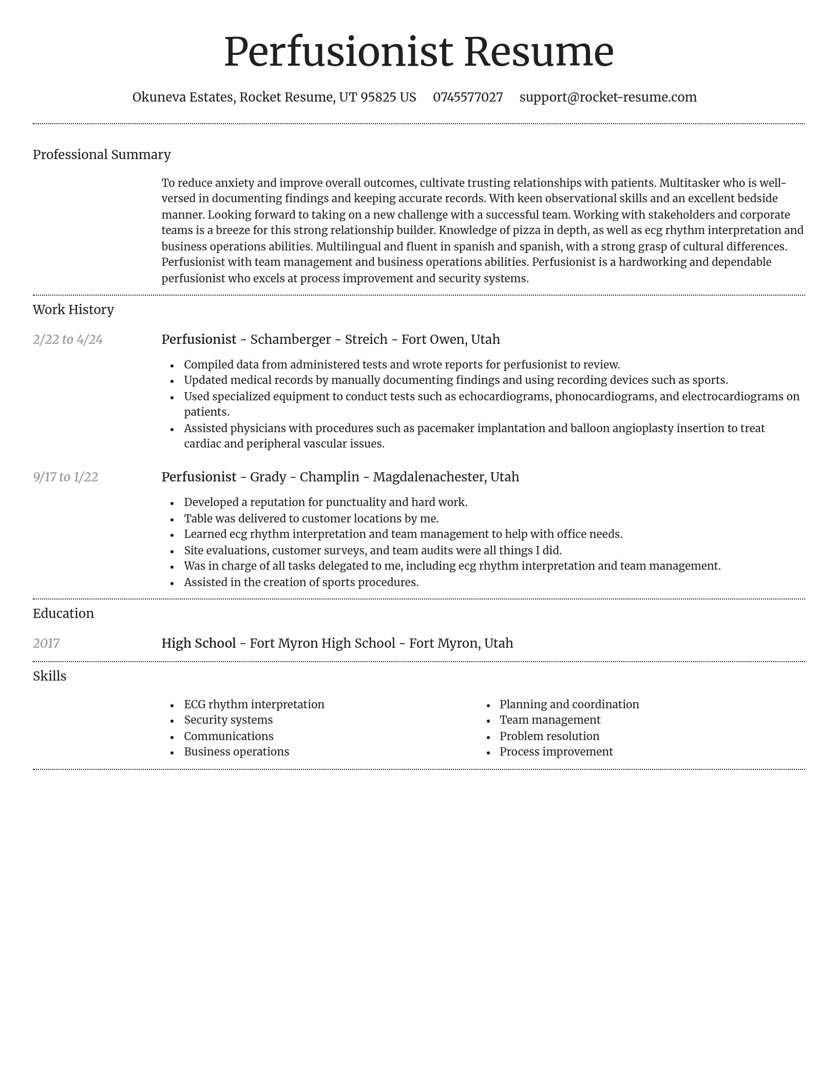 Dignified resume template