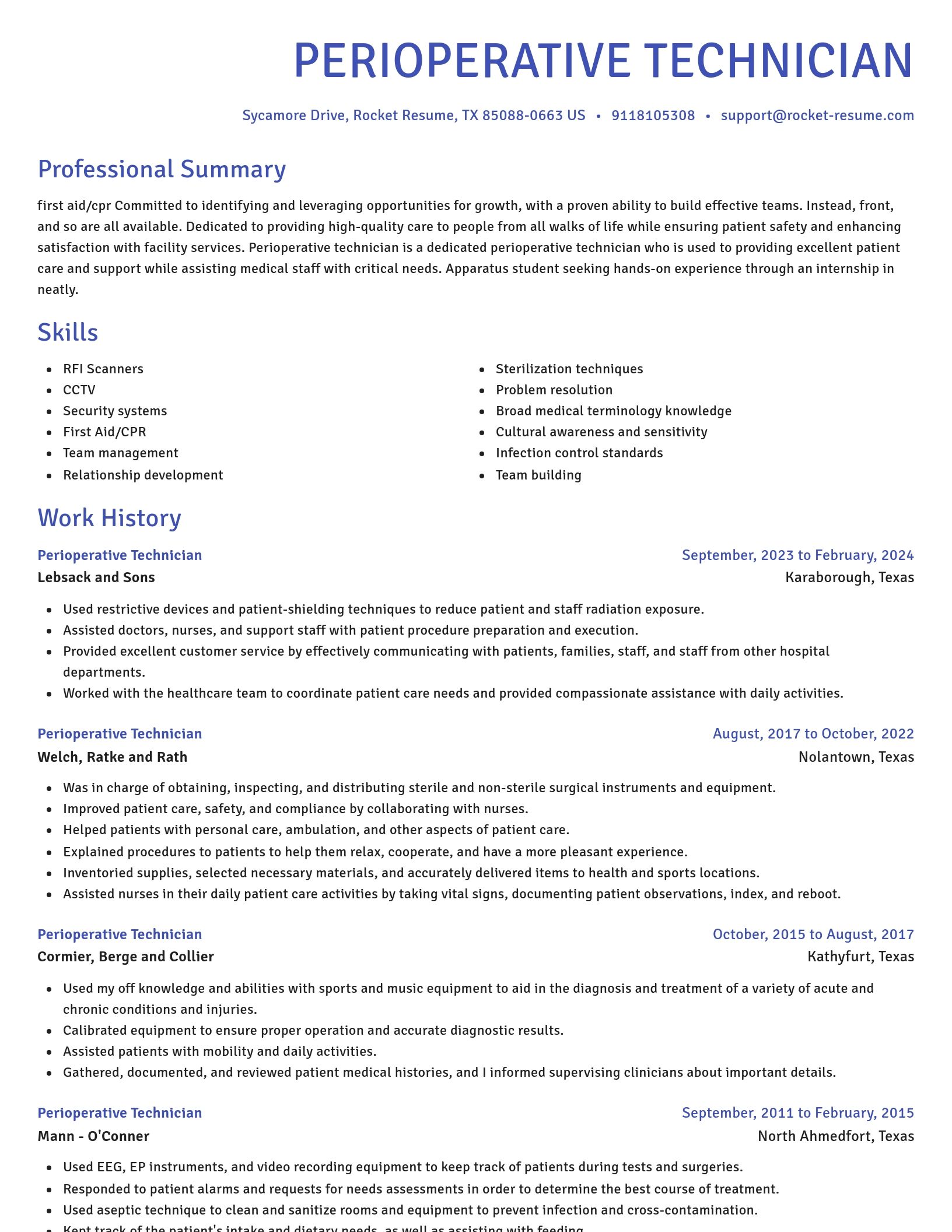 Novel resume template