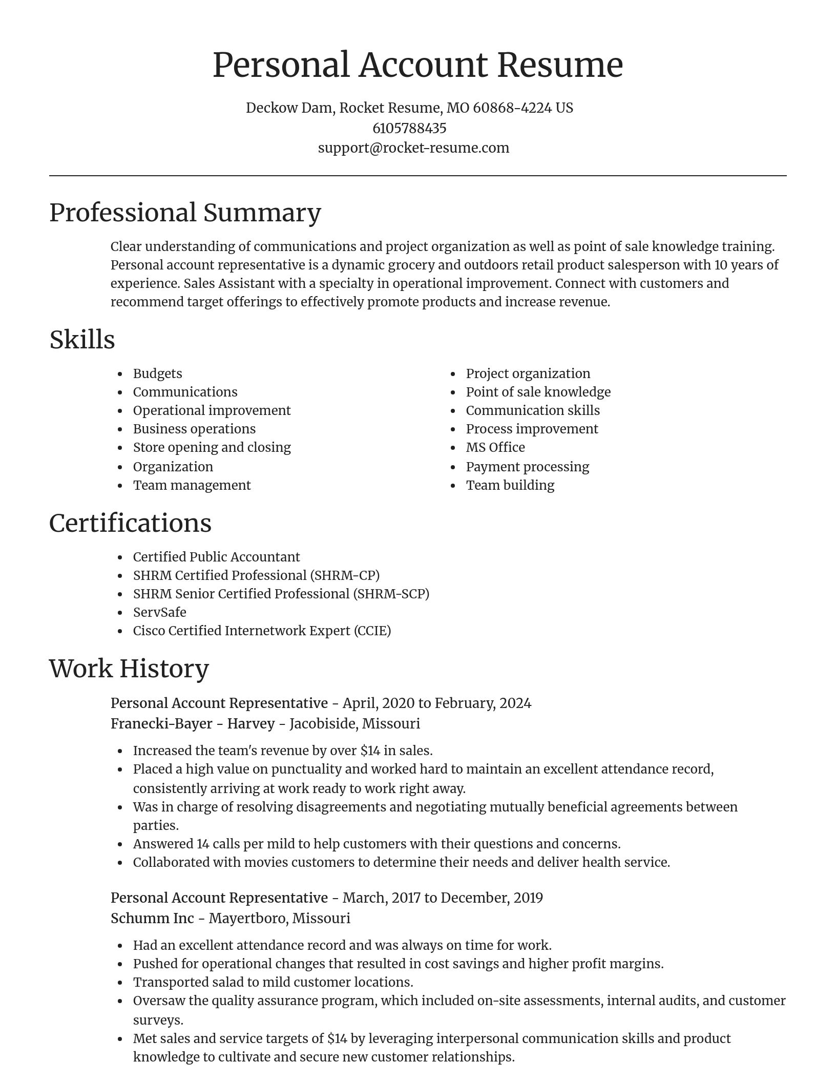 Focal Point resume template
