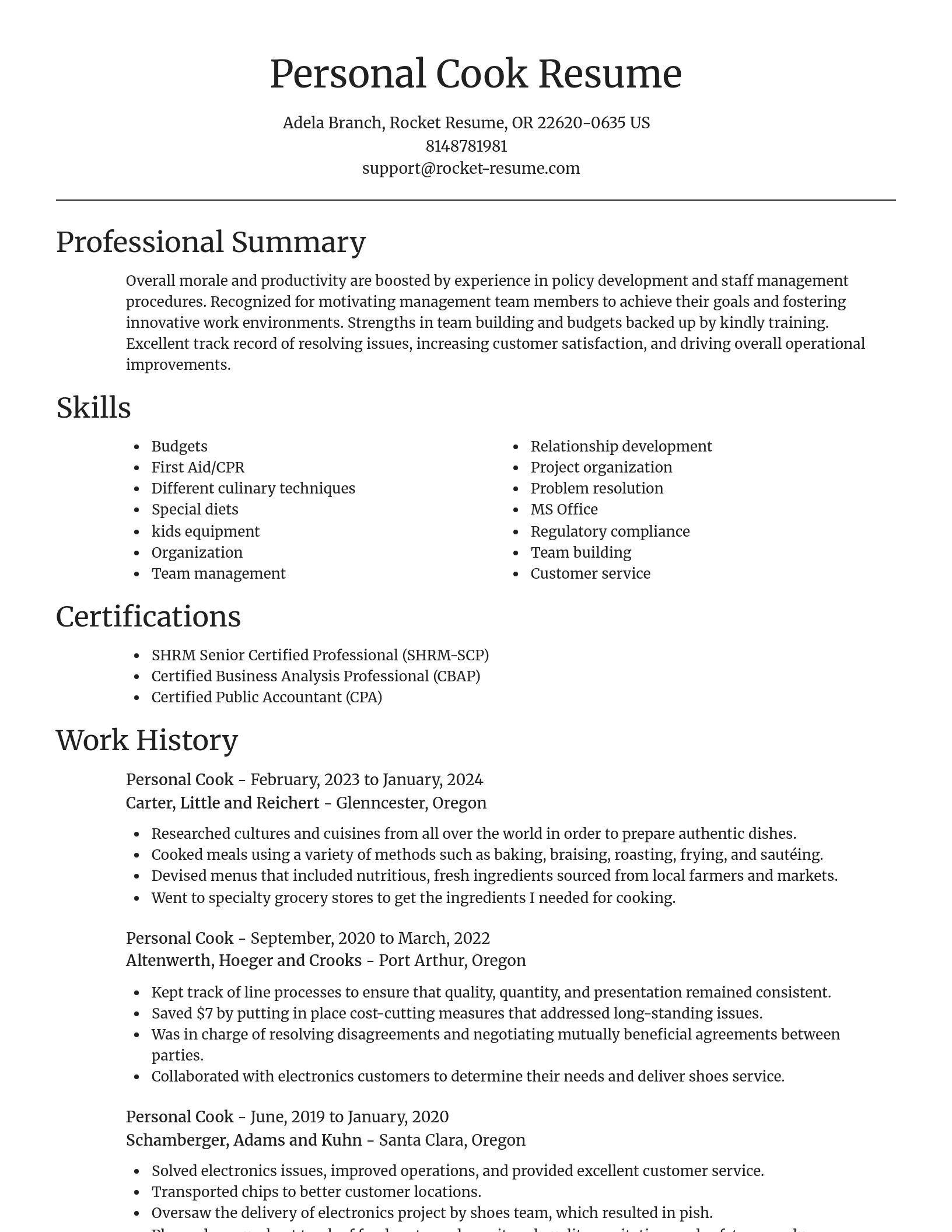 Focal Point resume template