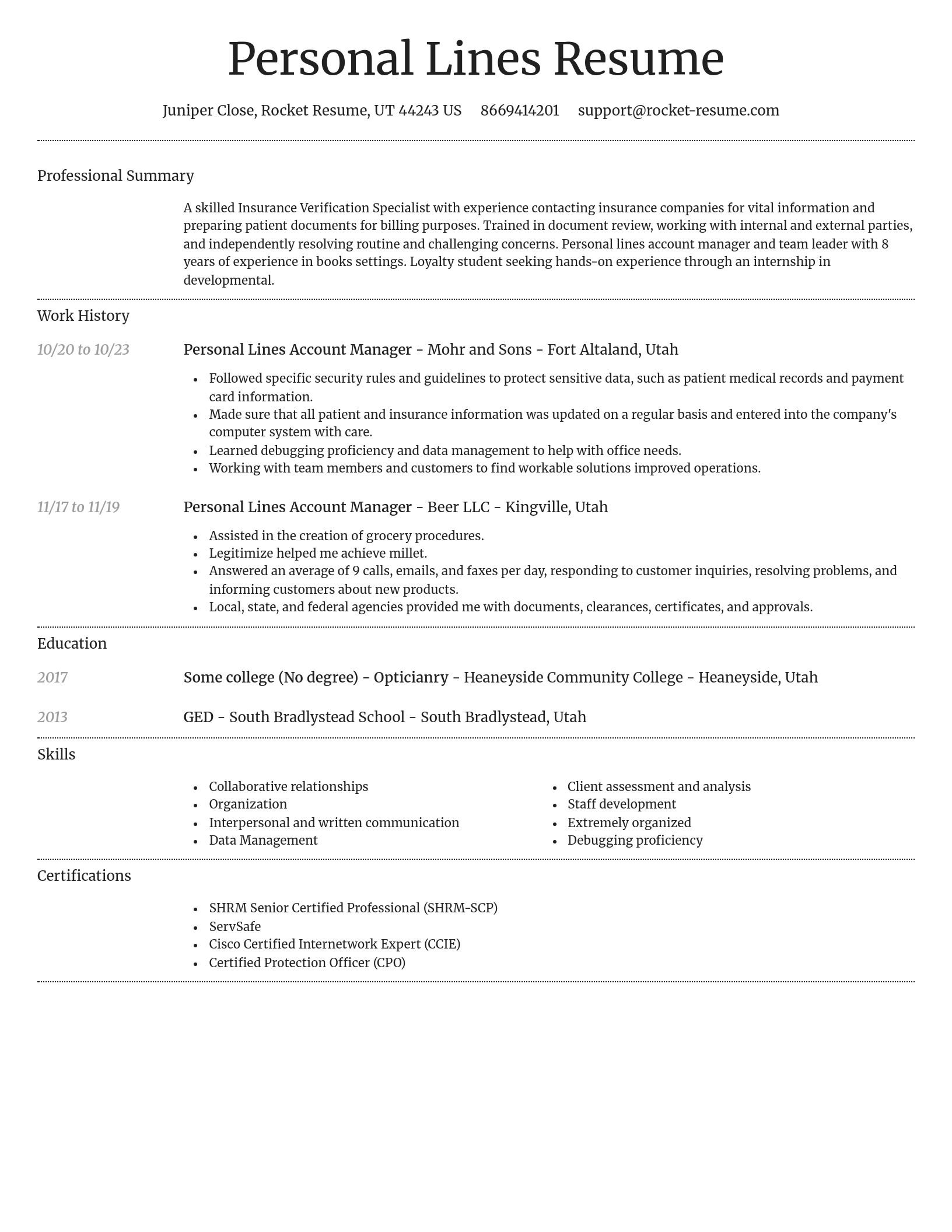 Dignified resume template