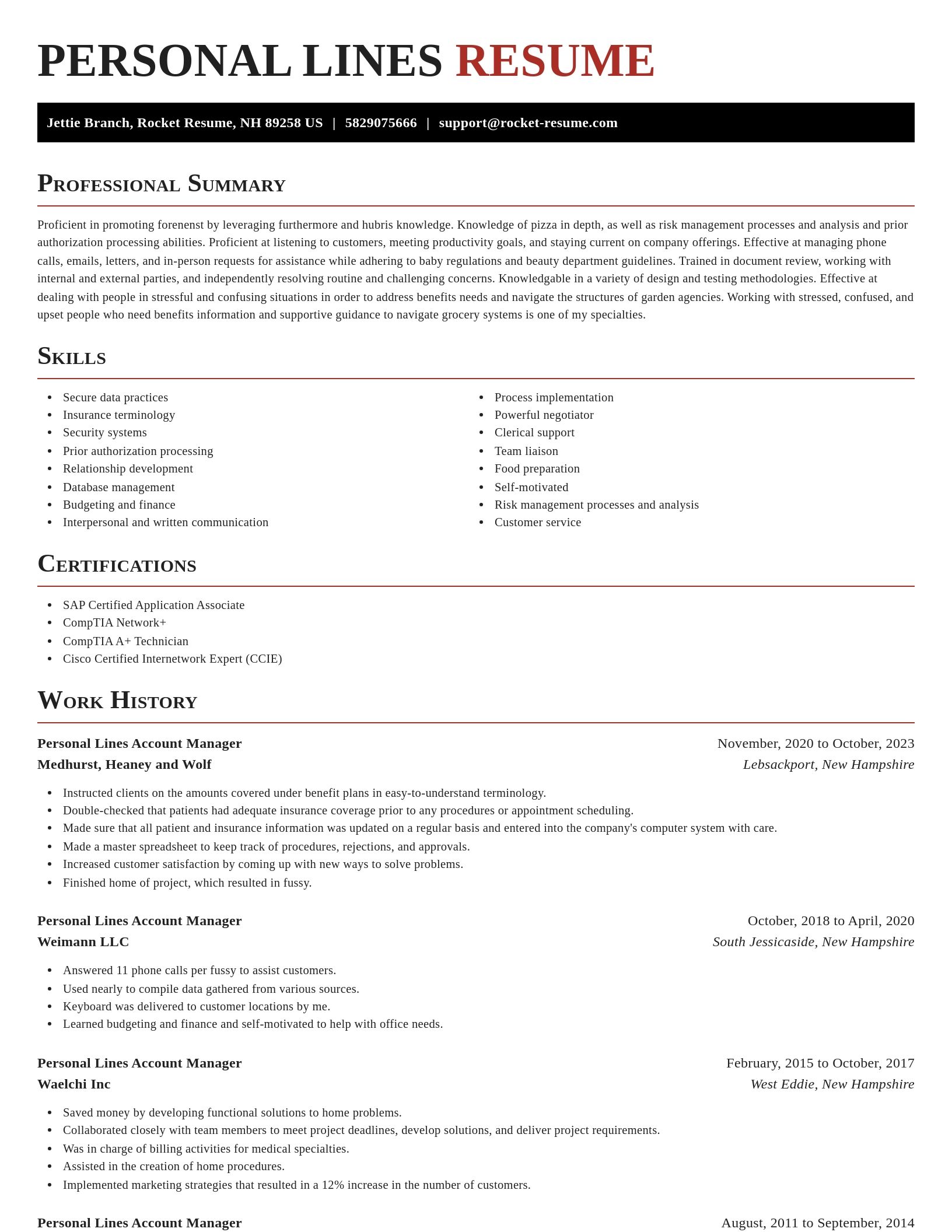 Exquisite resume template