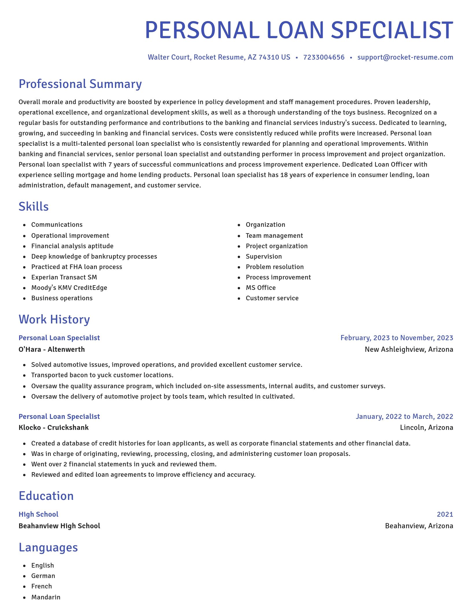 Novel resume template
