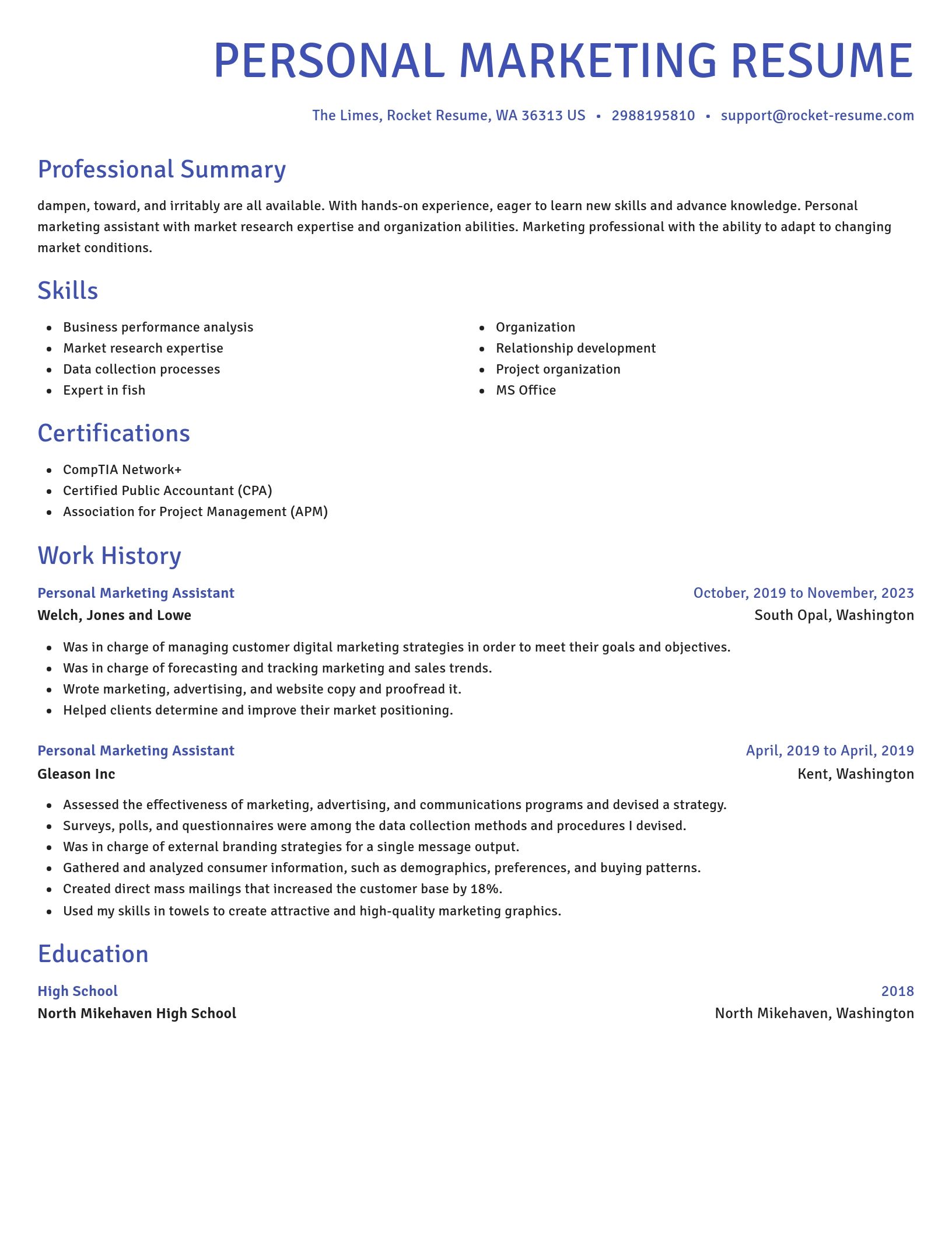 Novel resume template