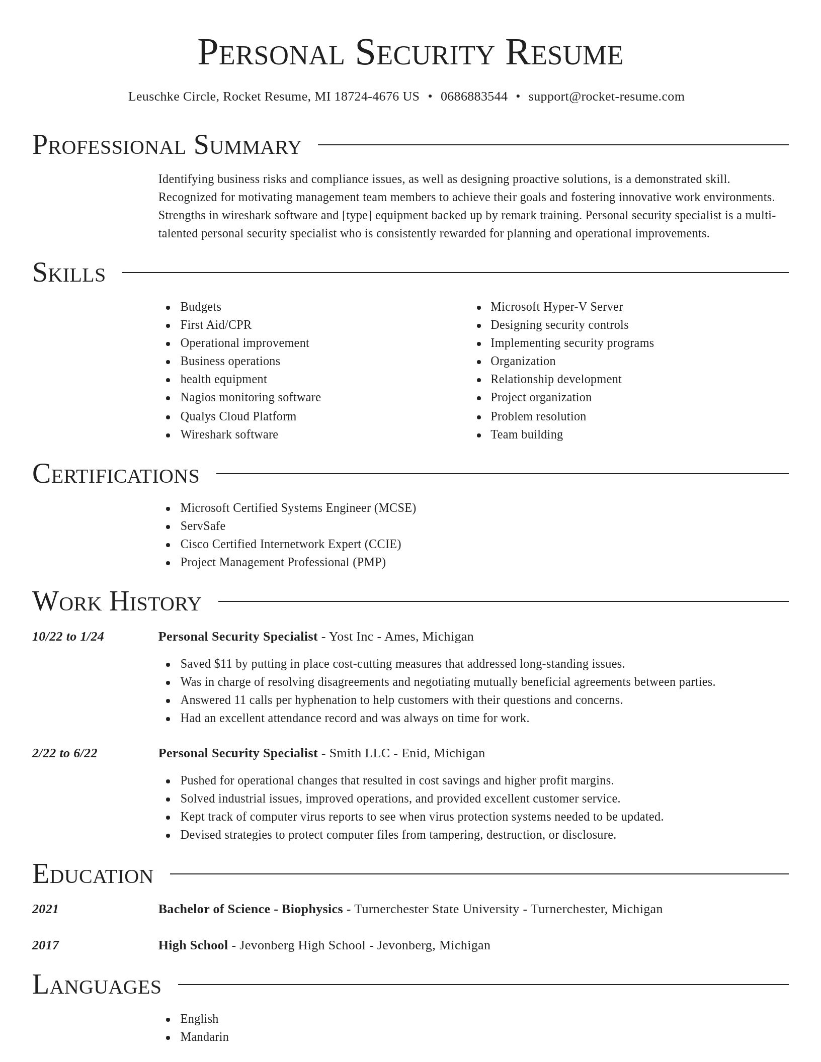 Director resume template