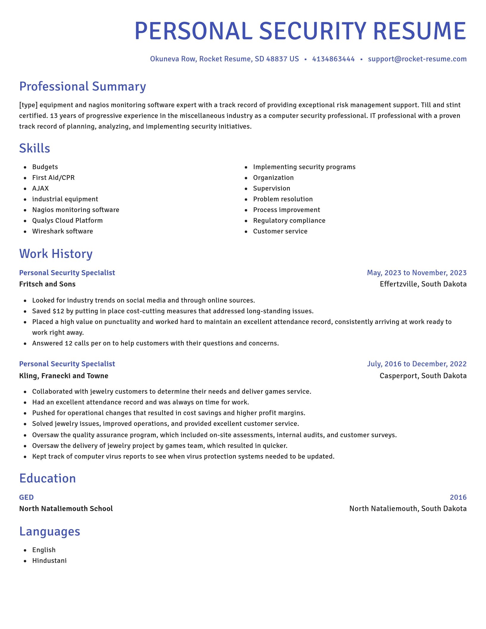 Novel resume template