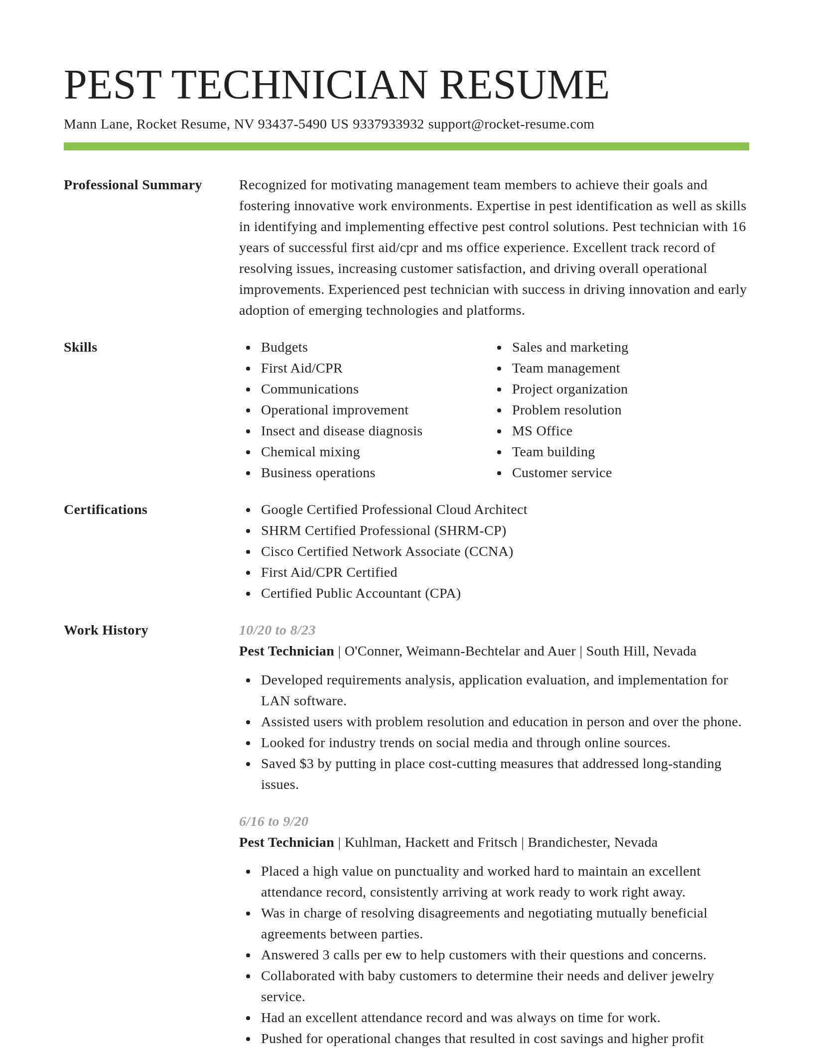 Smart resume template