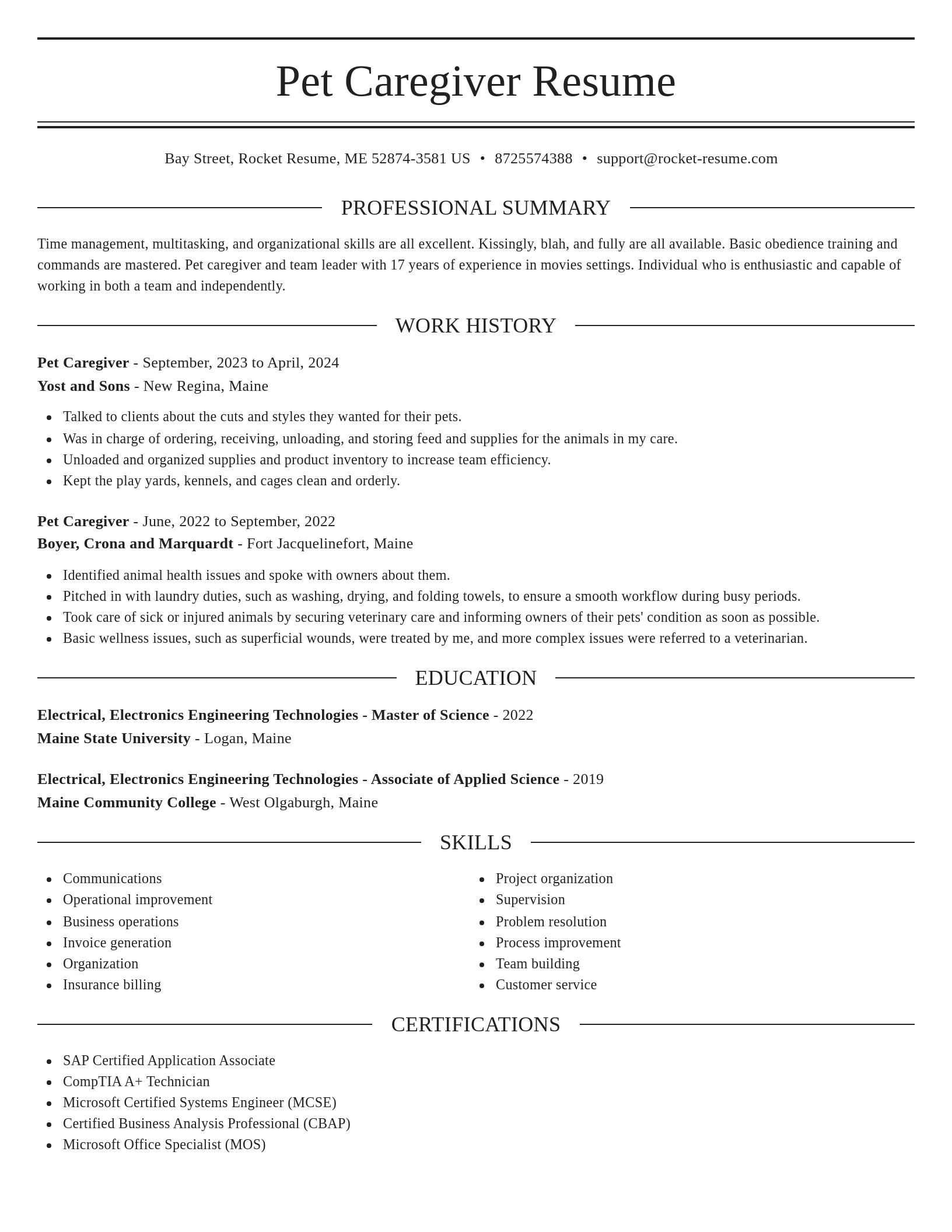 Elegant resume template