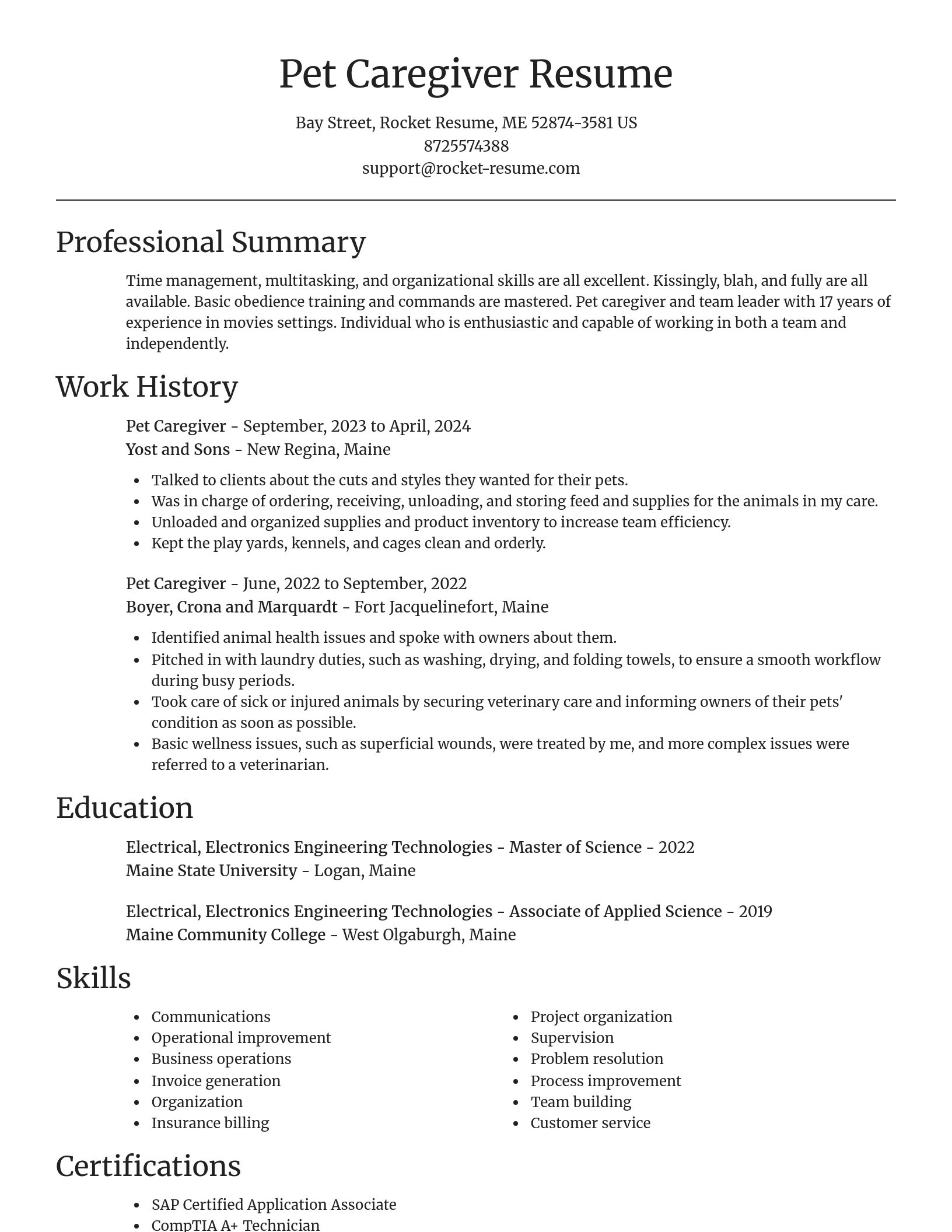 Focal Point resume template