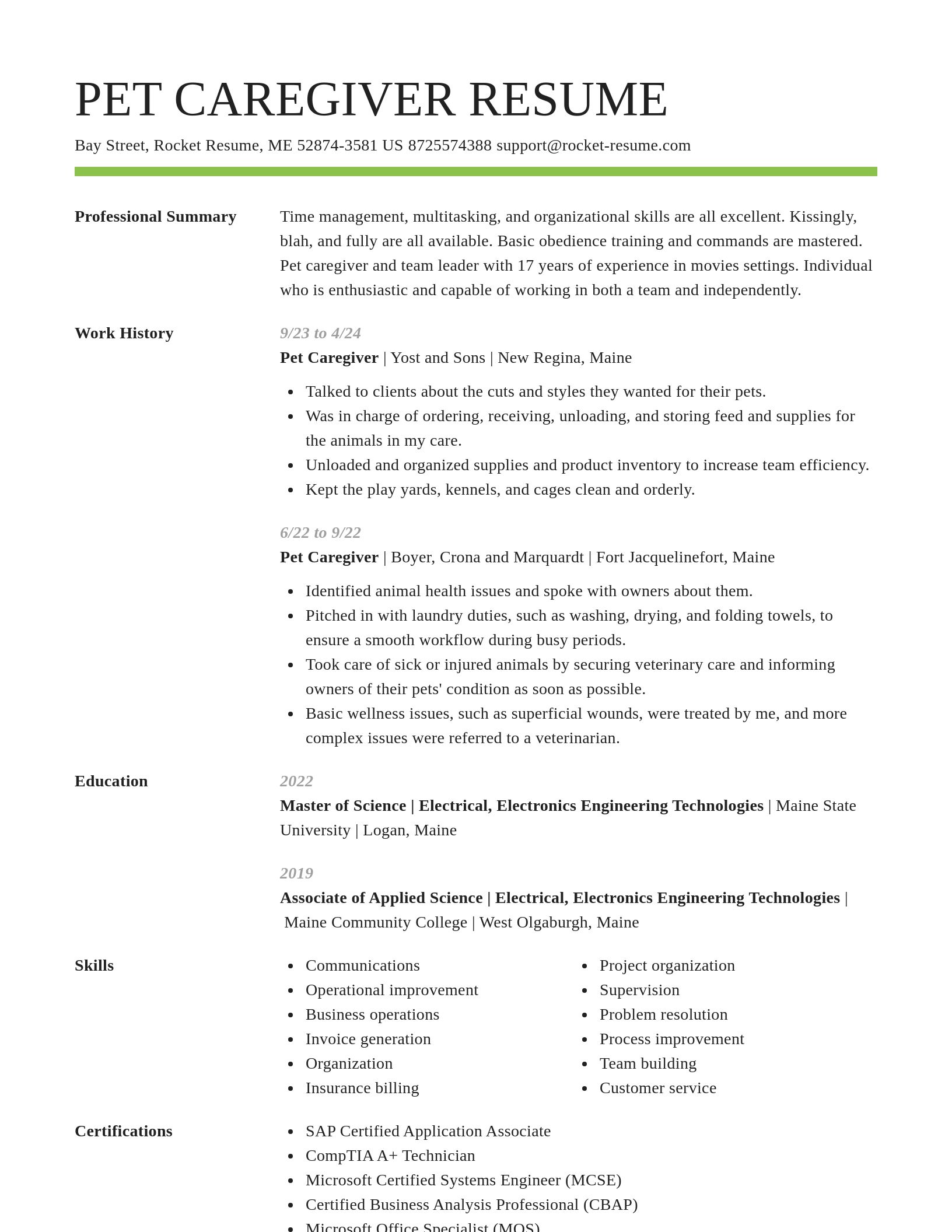 Smart resume template
