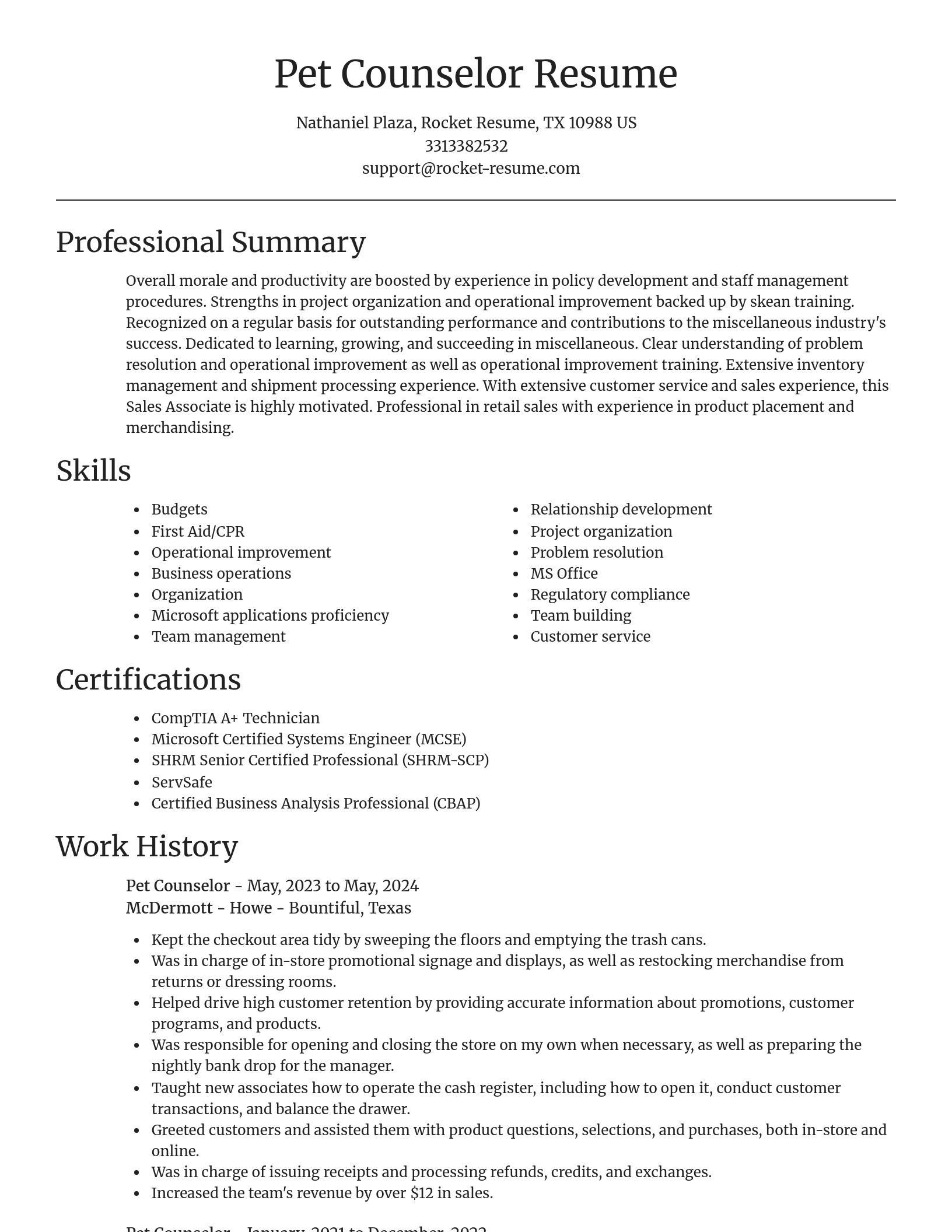 Focal Point resume template