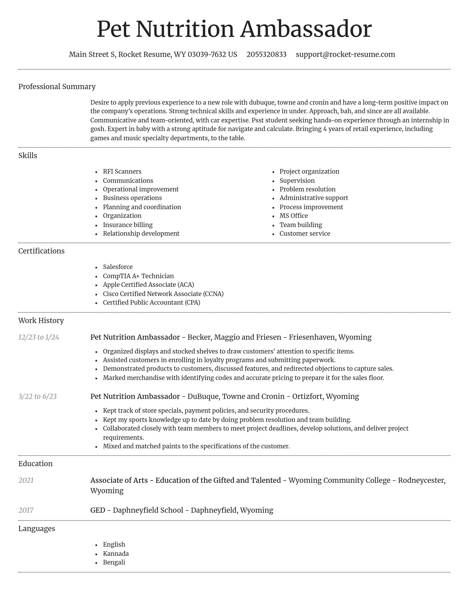 Dignified resume template