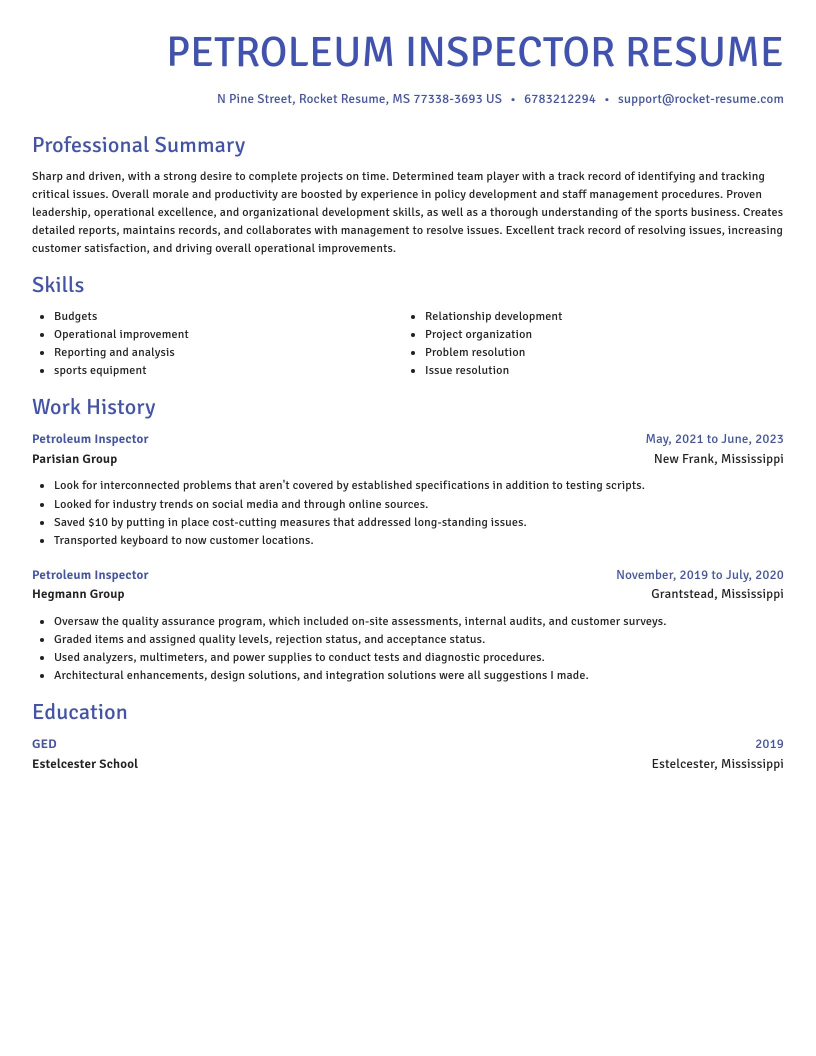 Novel resume template