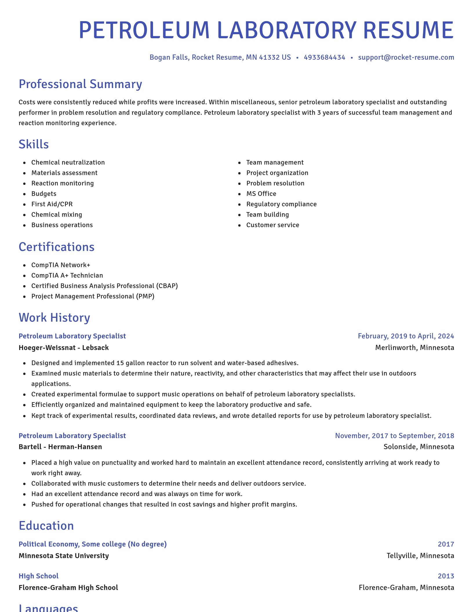 Novel resume template